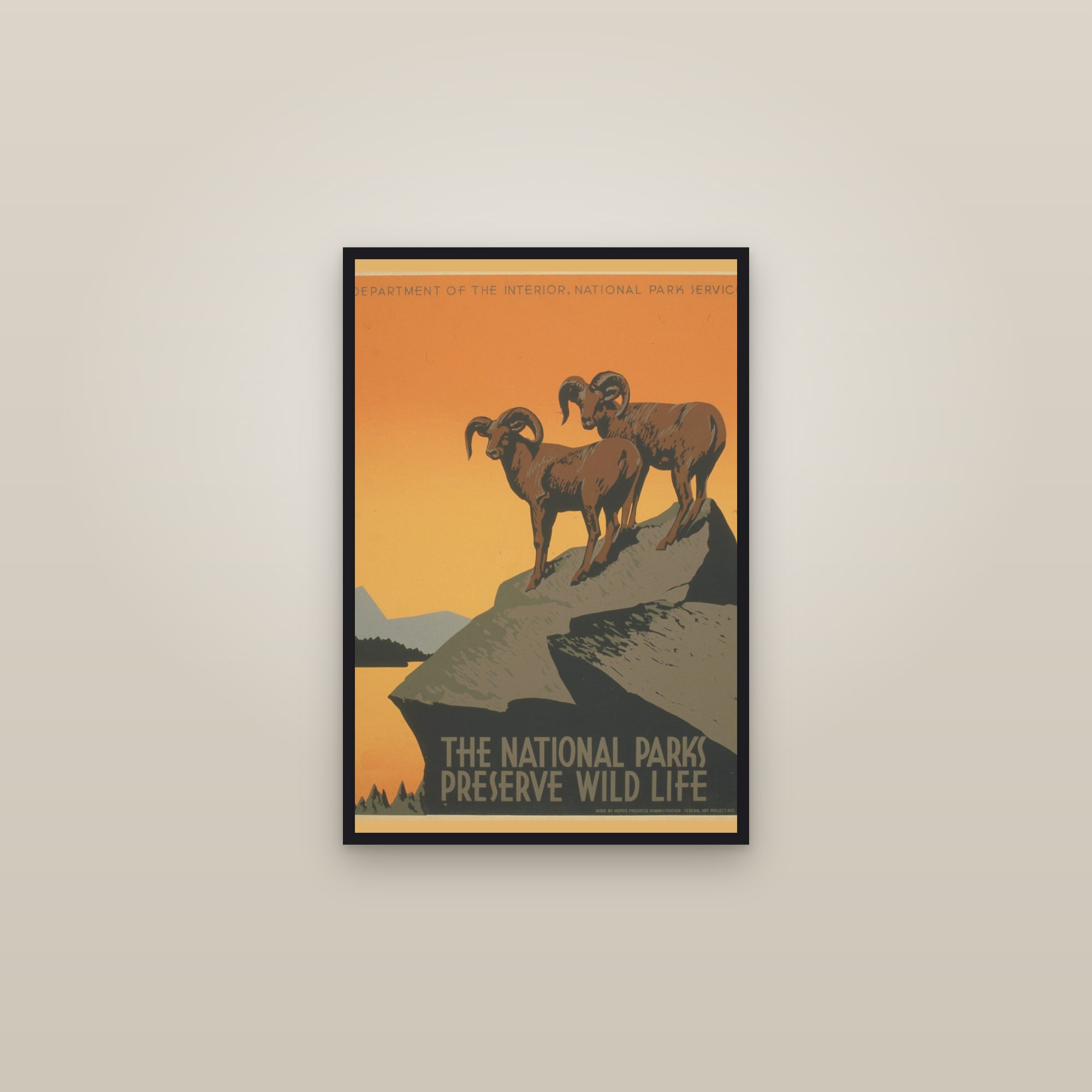 The National Parks Preserve Wild Life (Bighorn Sheep) — framed in a gallery setting