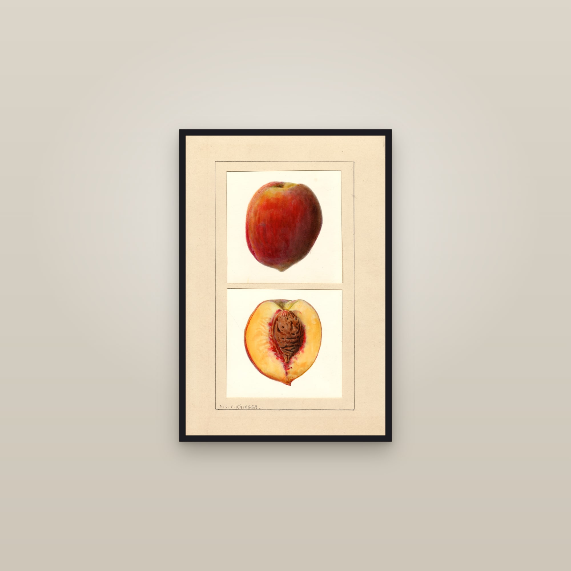 Number 10 Peach — framed in a gallery setting