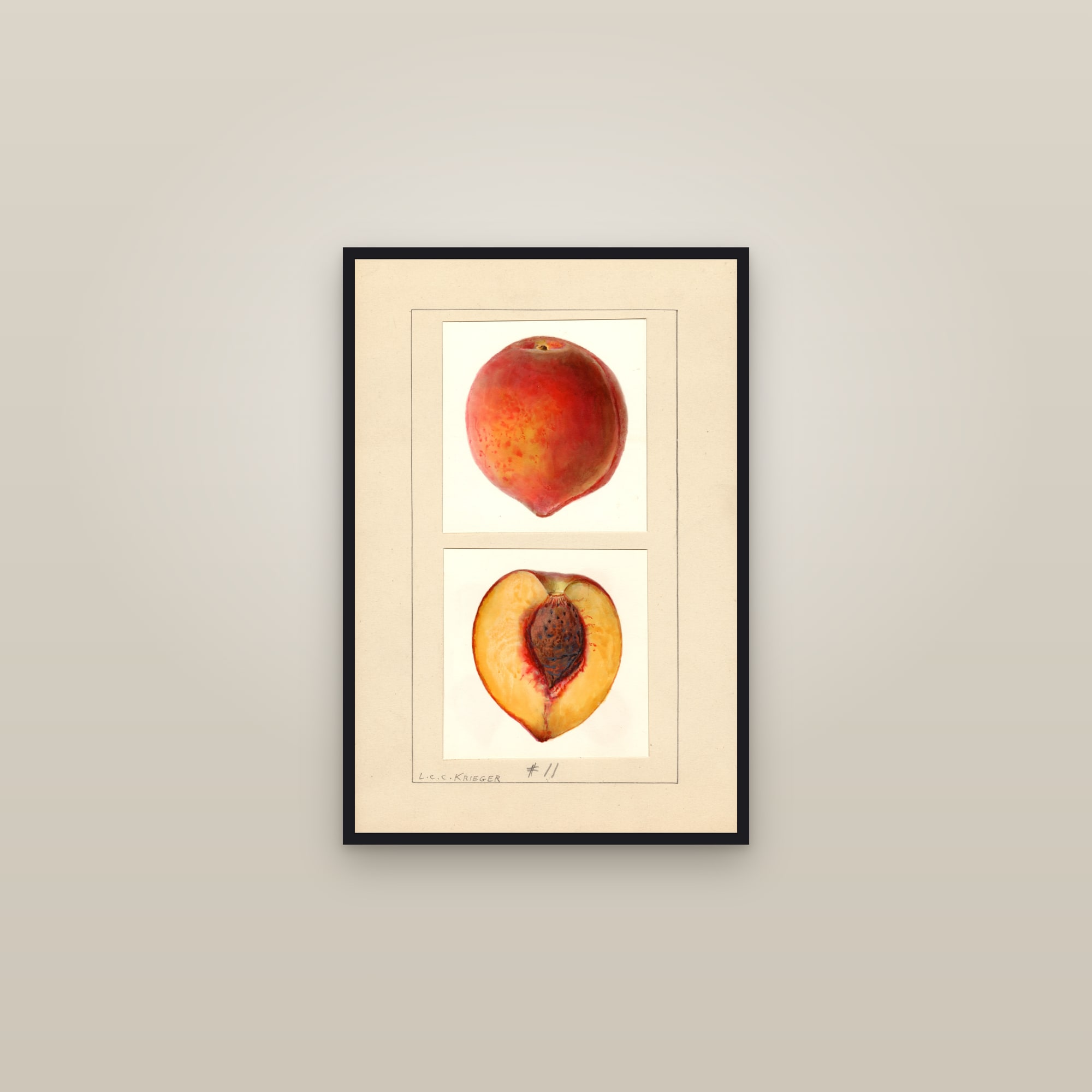Number 11 Peach — framed in a gallery setting
