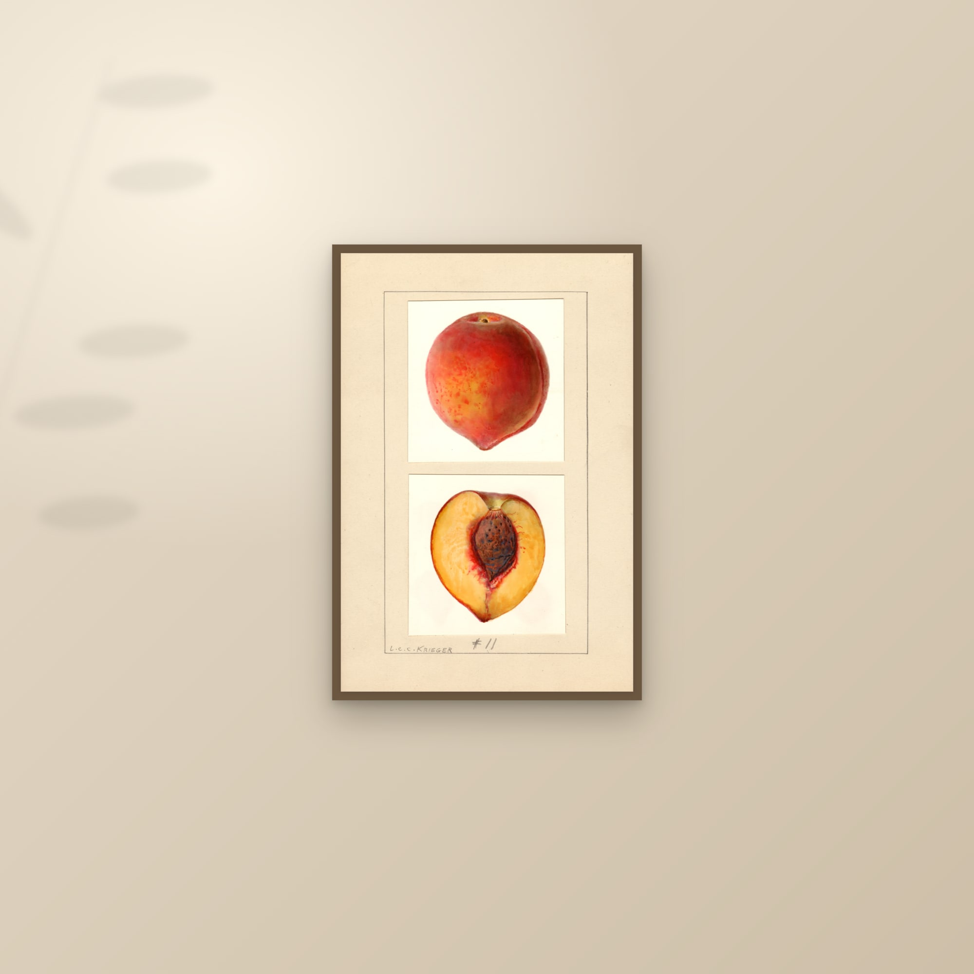 Number 11 Peach — framed and styled on a sunlit wall