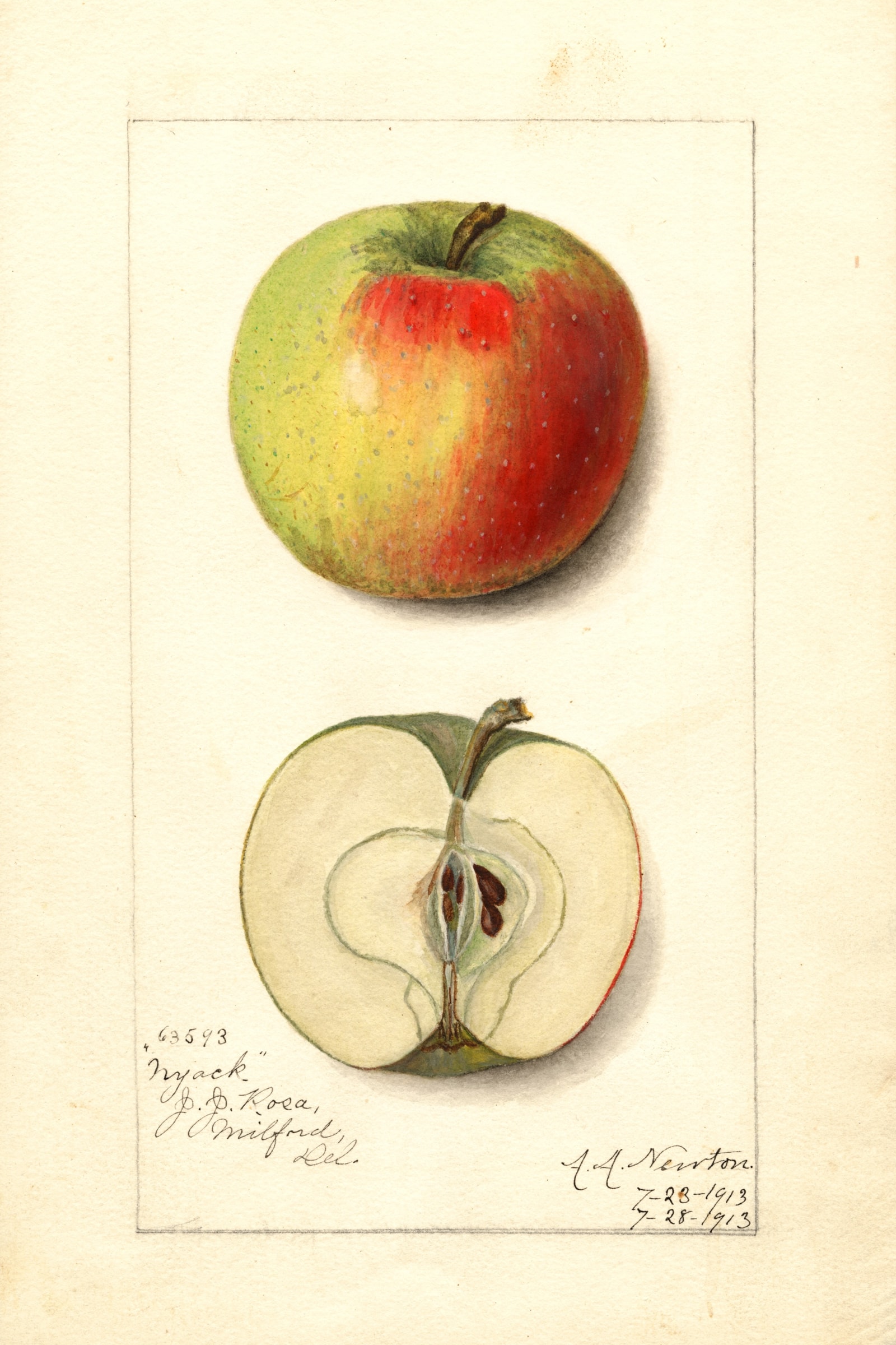 Nyack Apple
