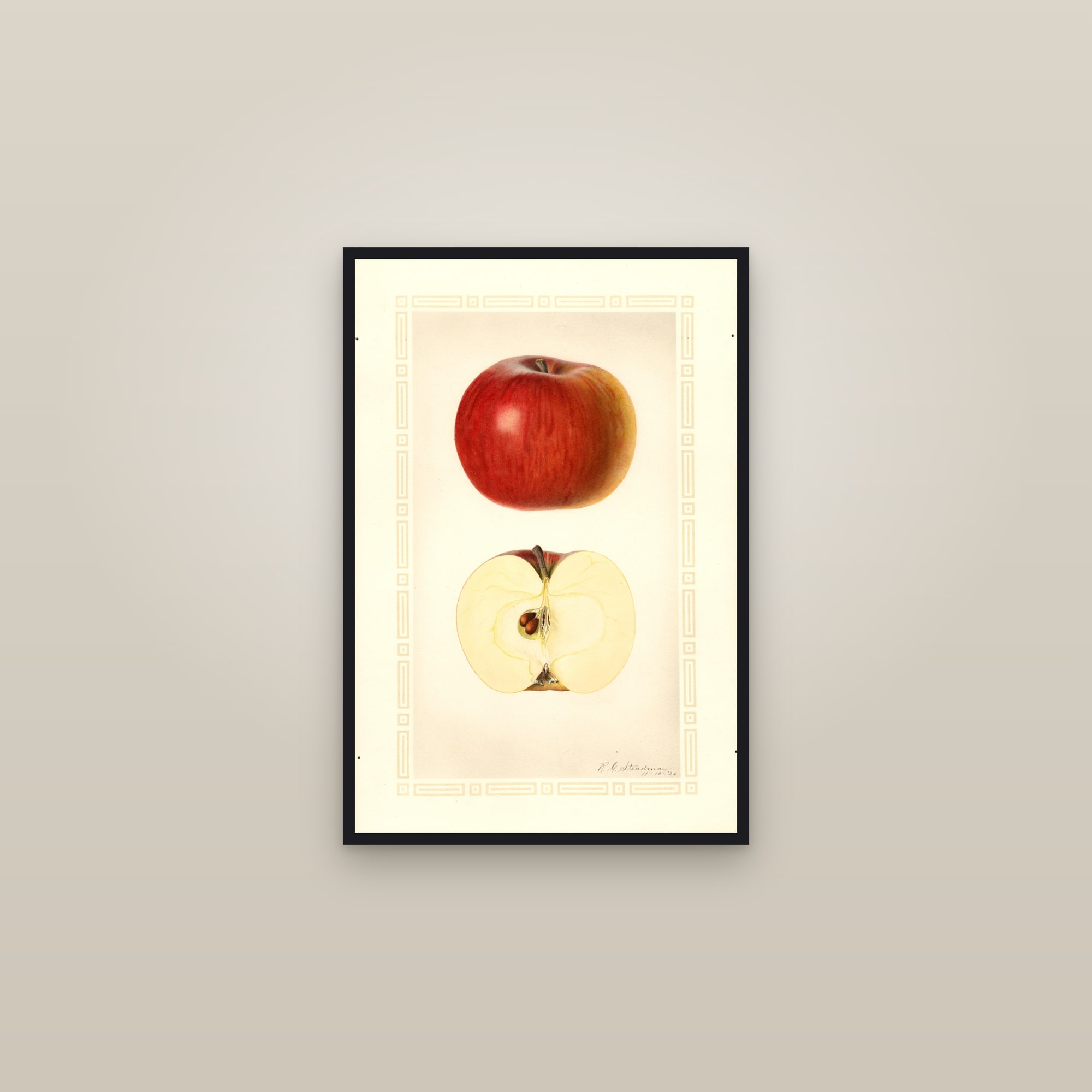 Ogleby Apple — framed in a gallery setting