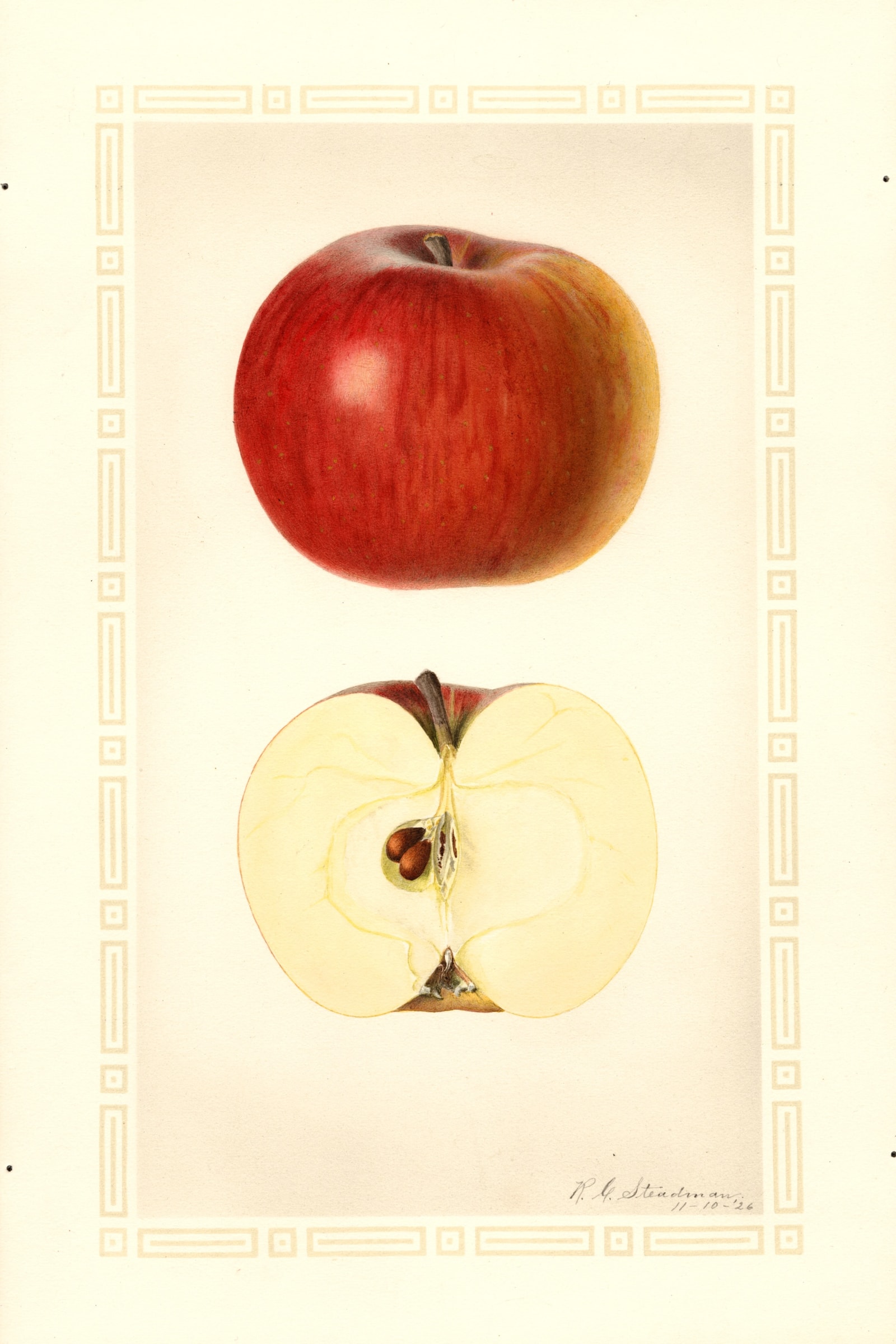 Ogleby Apple