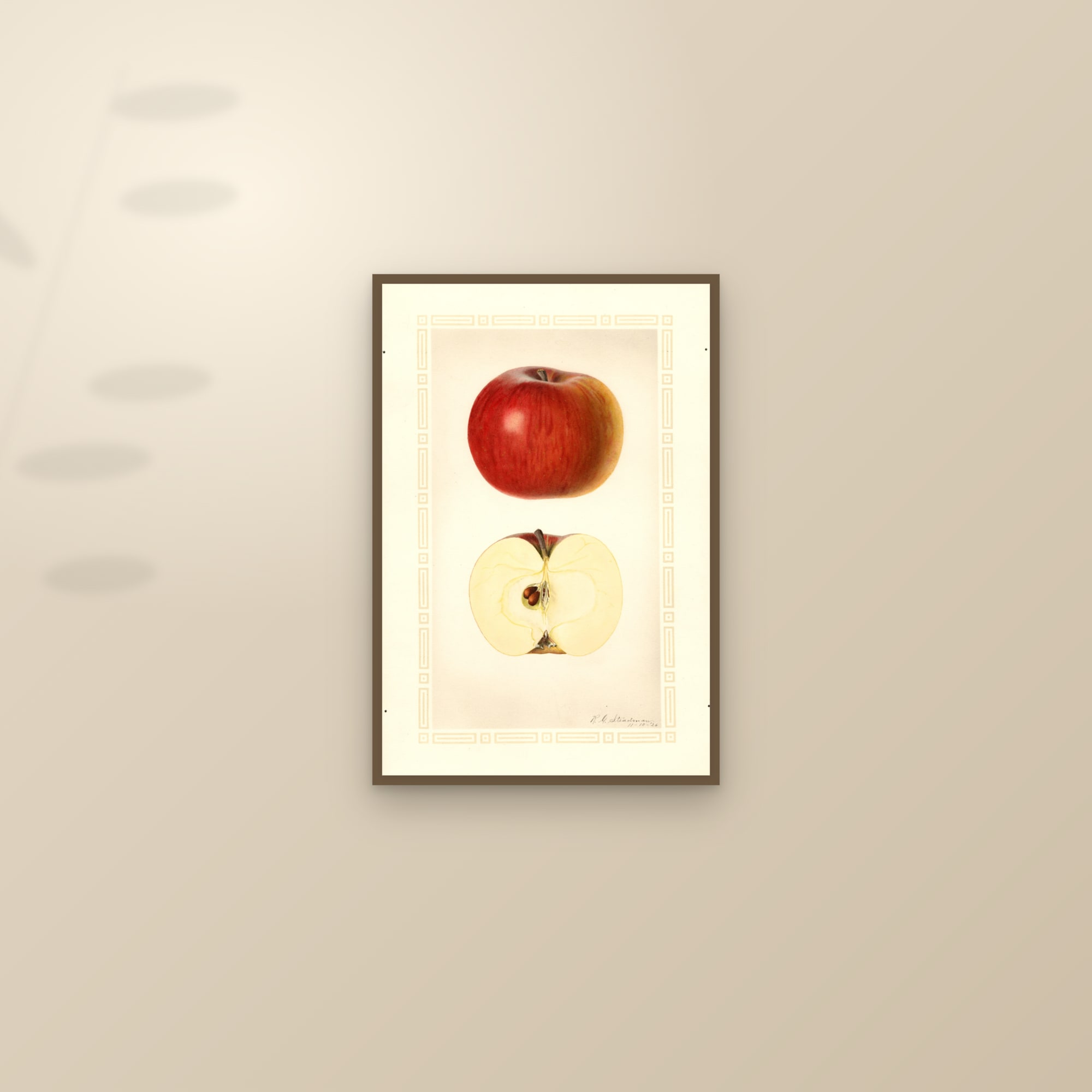 Ogleby Apple — framed and styled on a sunlit wall