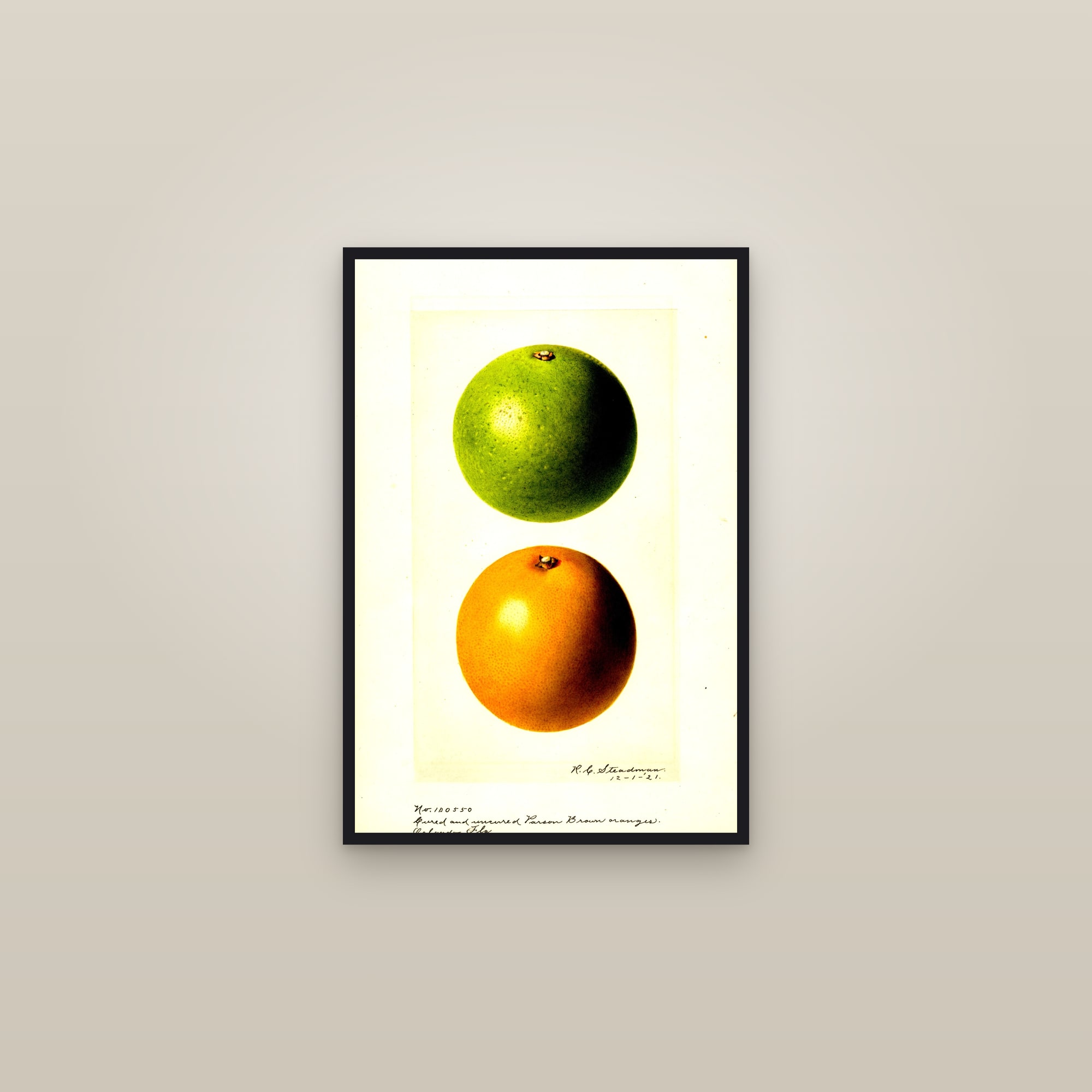 Parson Brown Orange — framed in a gallery setting