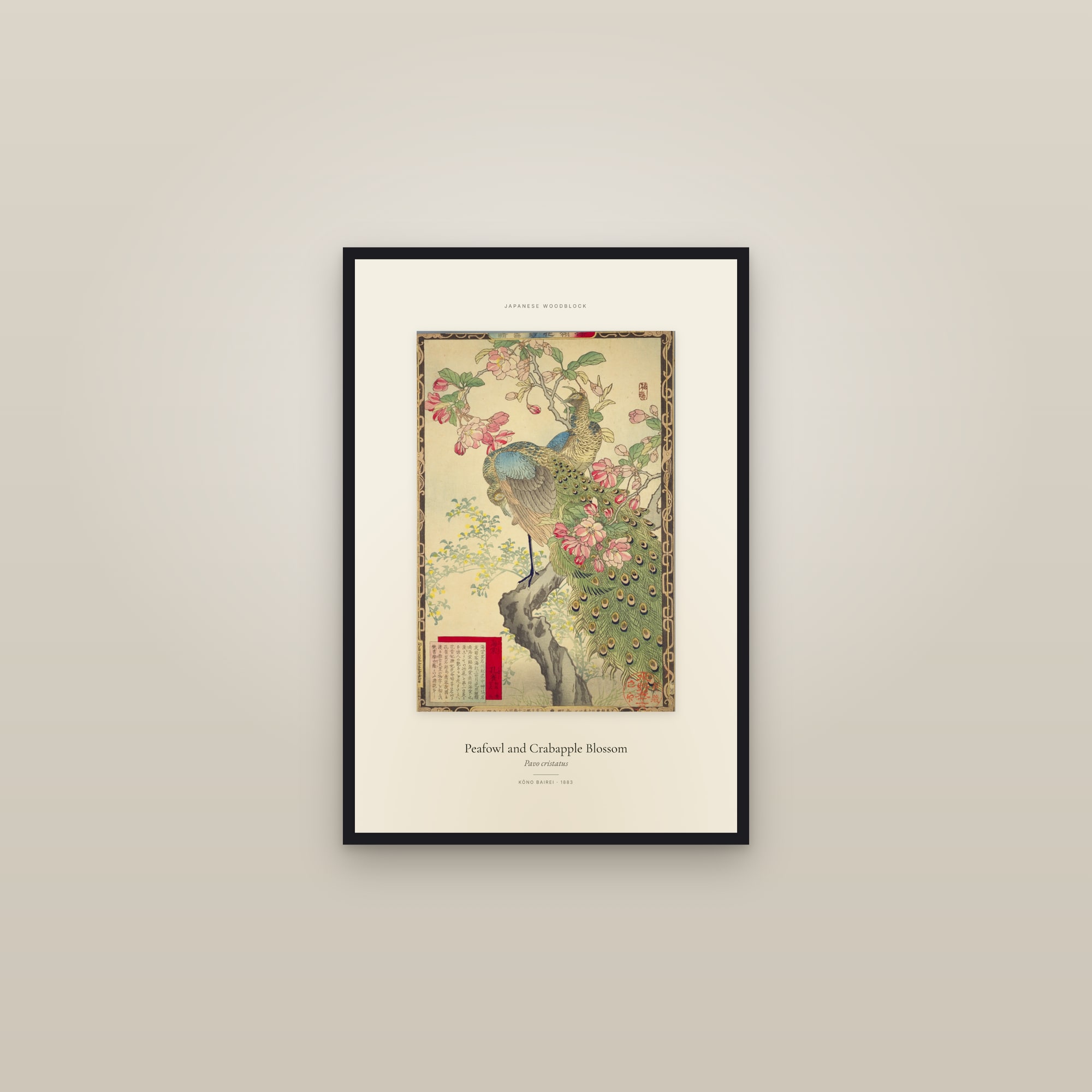 Peafowl and Crabapple Blossom — Specimen