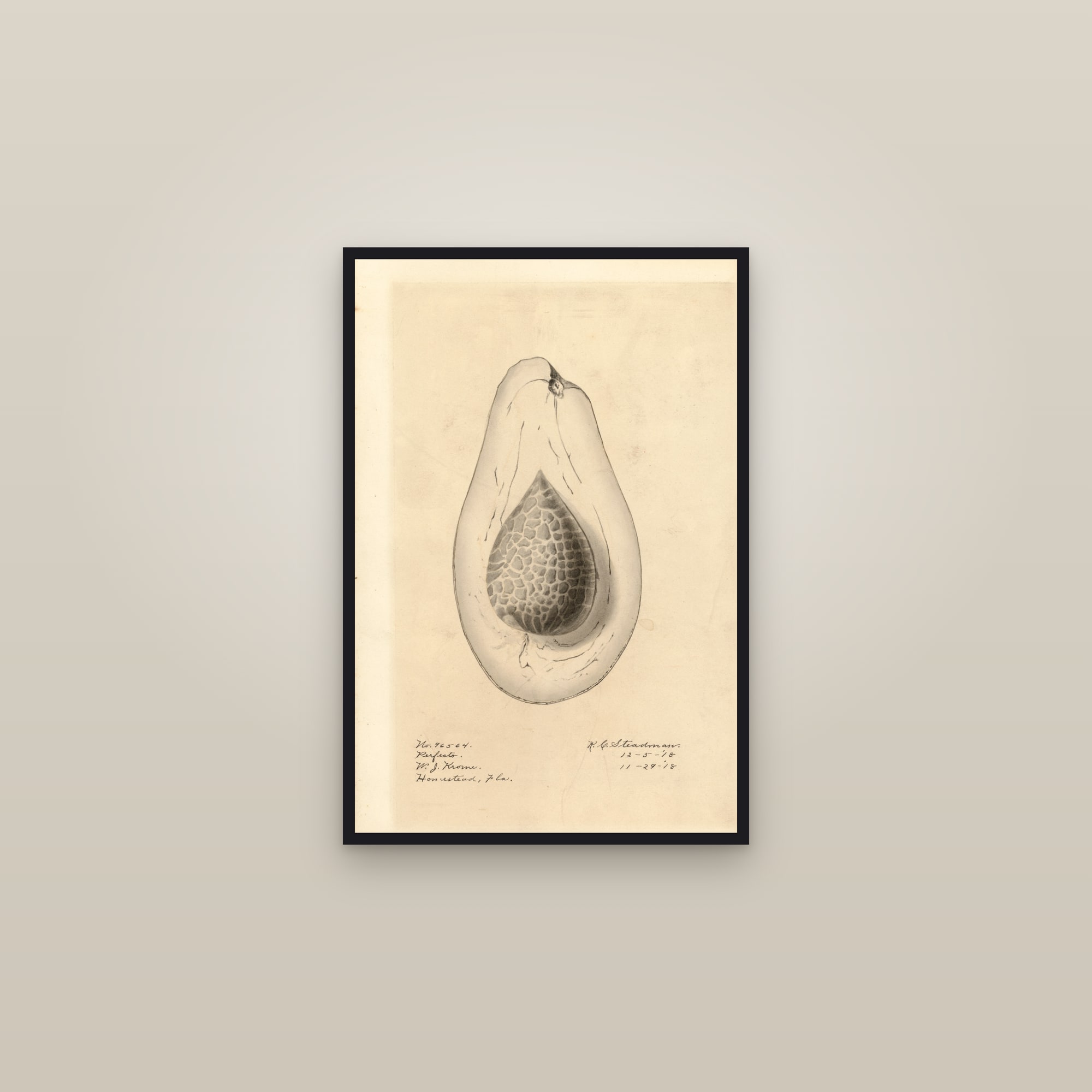 Perfecto Avocado — framed in a gallery setting