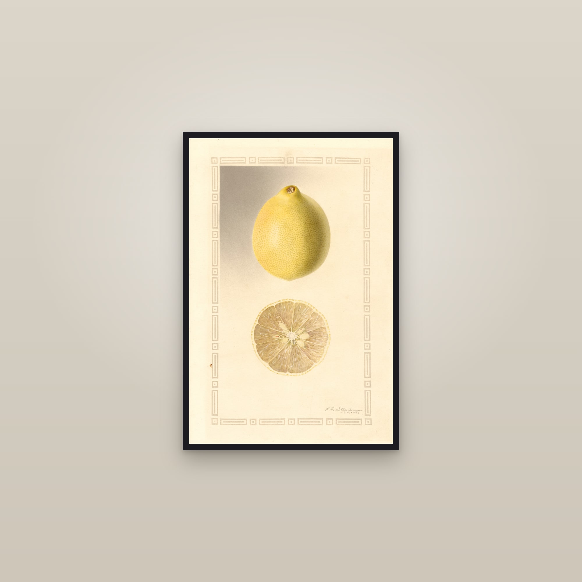 Perrine Lemon — framed in a gallery setting
