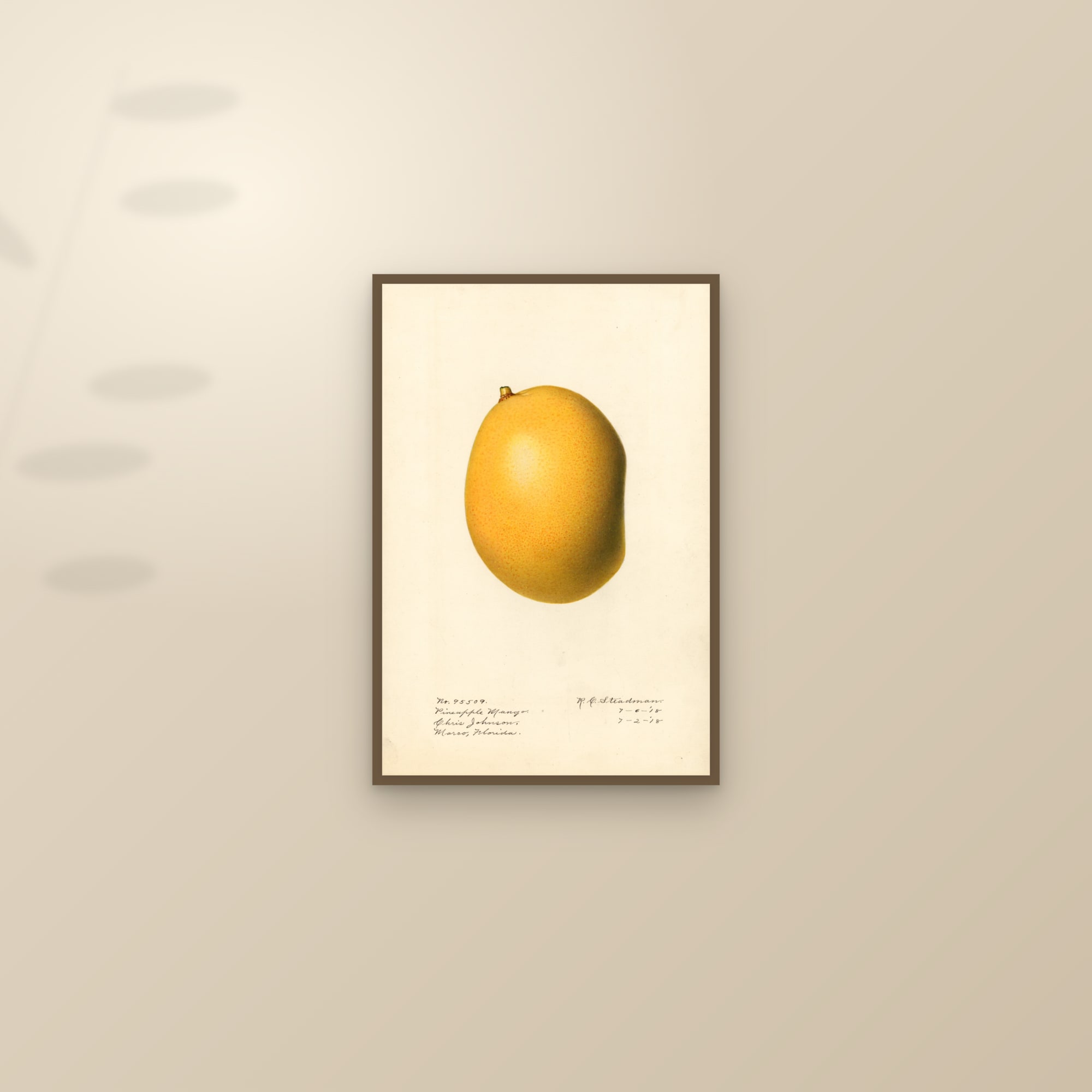 Pineapple Mango — framed and styled on a sunlit wall