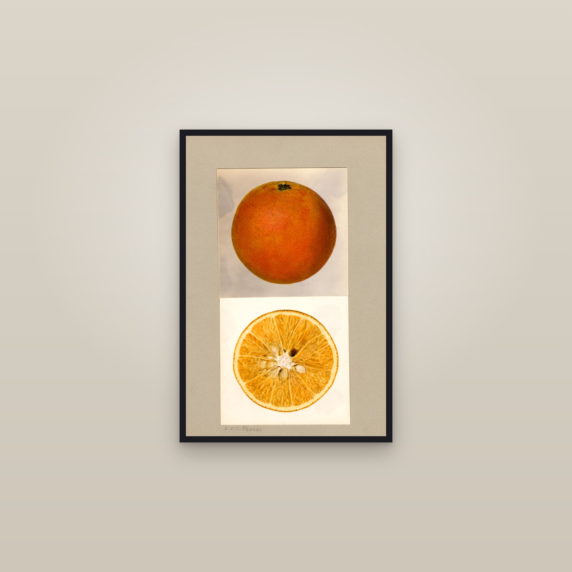Pineapple Orange Citrus — framed in a gallery setting