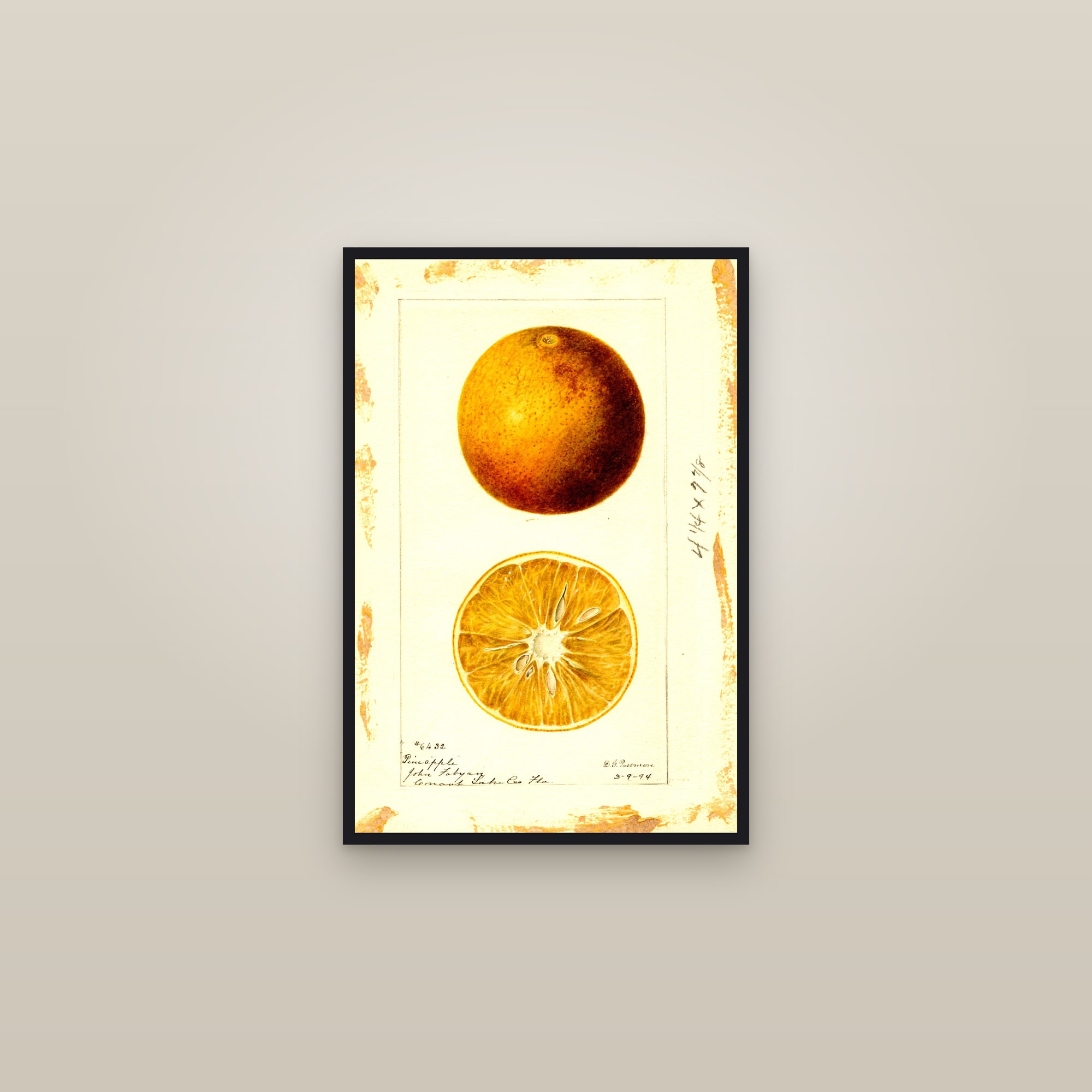 Pineapple Orange — framed in a gallery setting