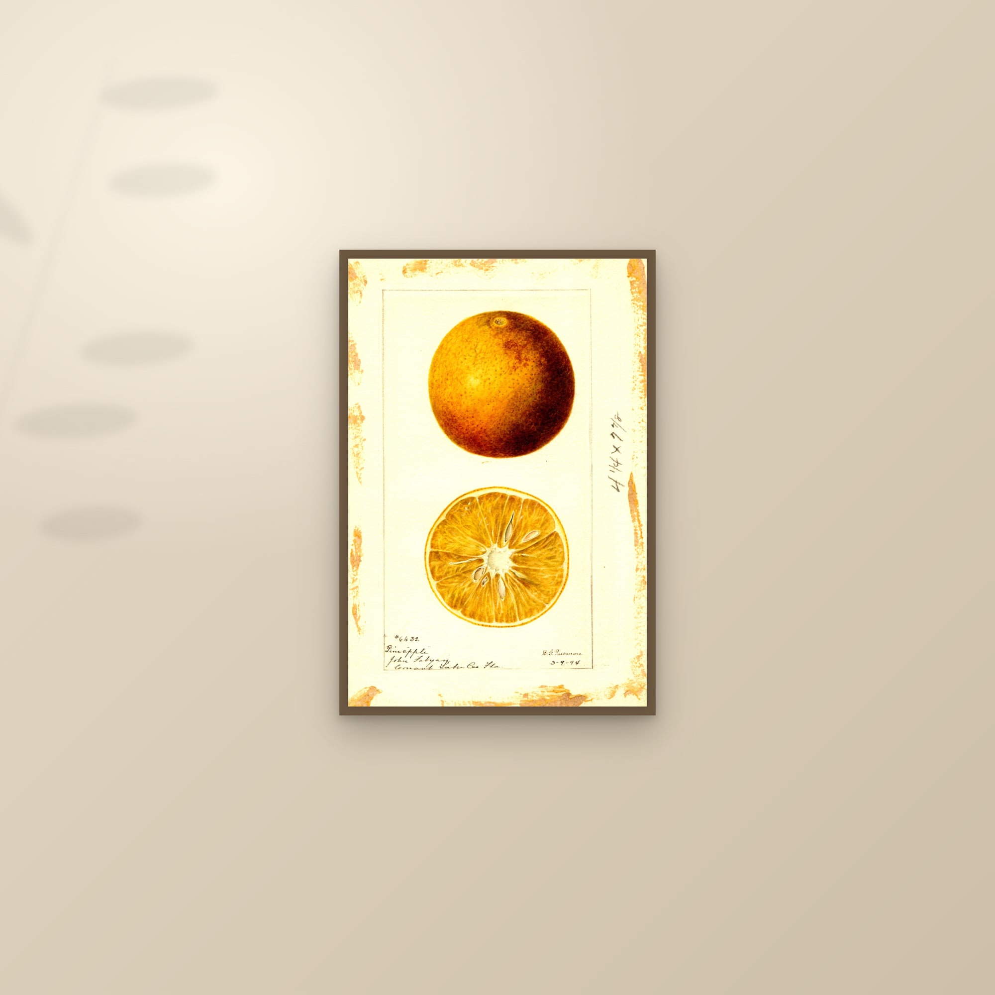 Pineapple Orange — framed and styled on a sunlit wall