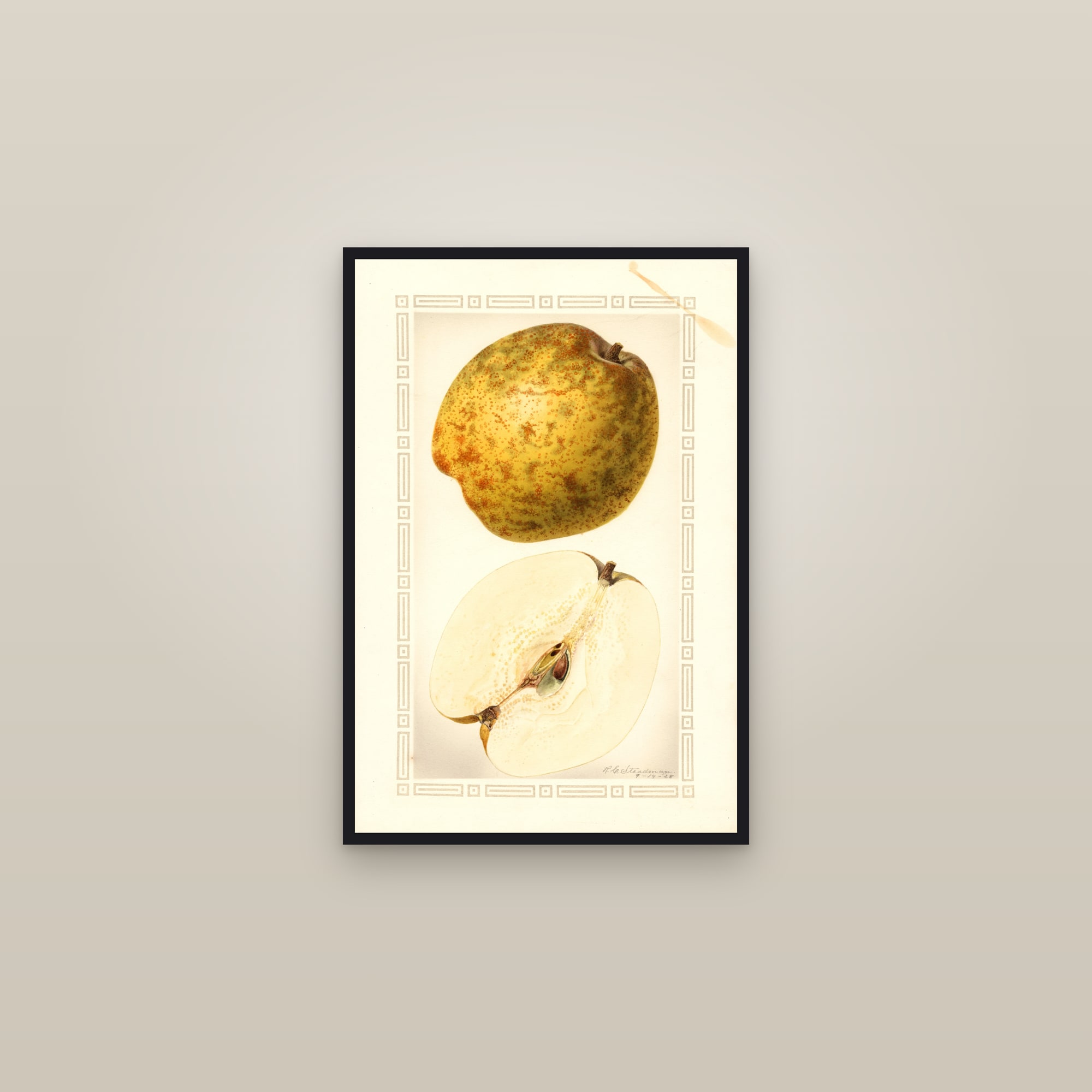 Pineapple Pear — framed in a gallery setting