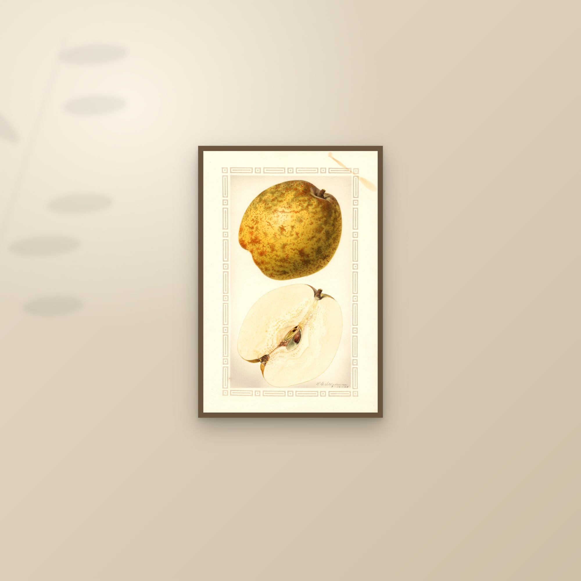Pineapple Pear — framed and styled on a sunlit wall
