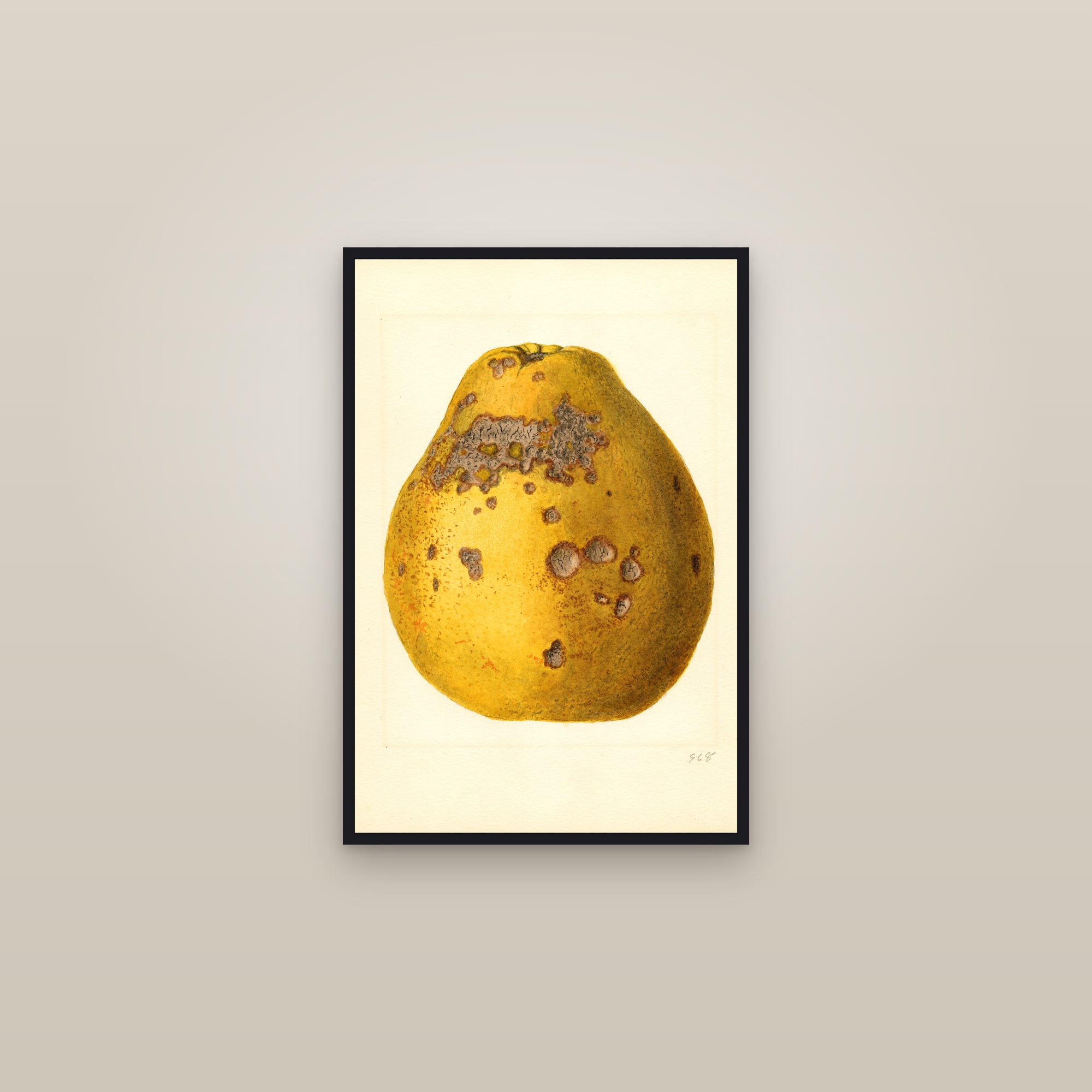 Ponderosa Lemon — framed in a gallery setting