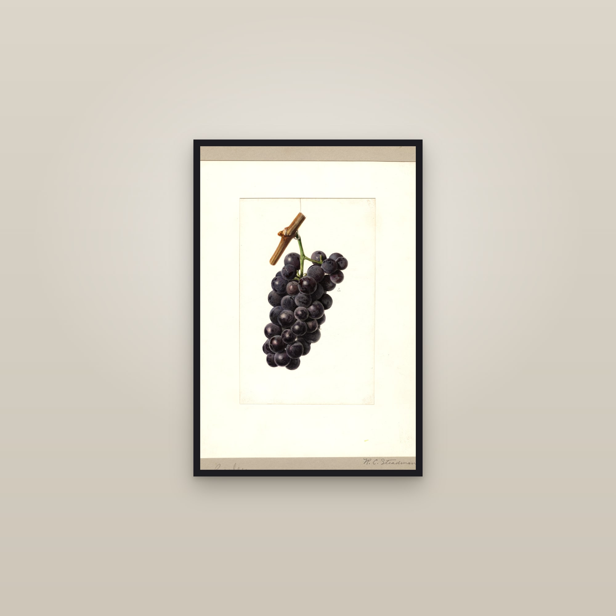 Presley Grape — framed in a gallery setting