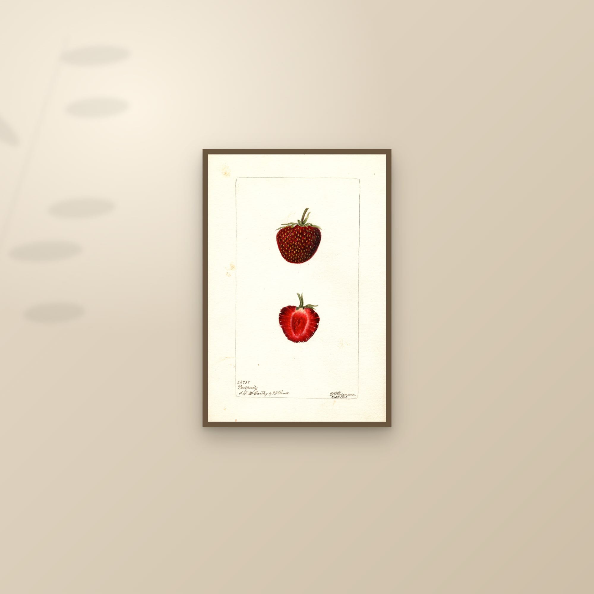 Prosperity Strawberry — framed and styled on a sunlit wall