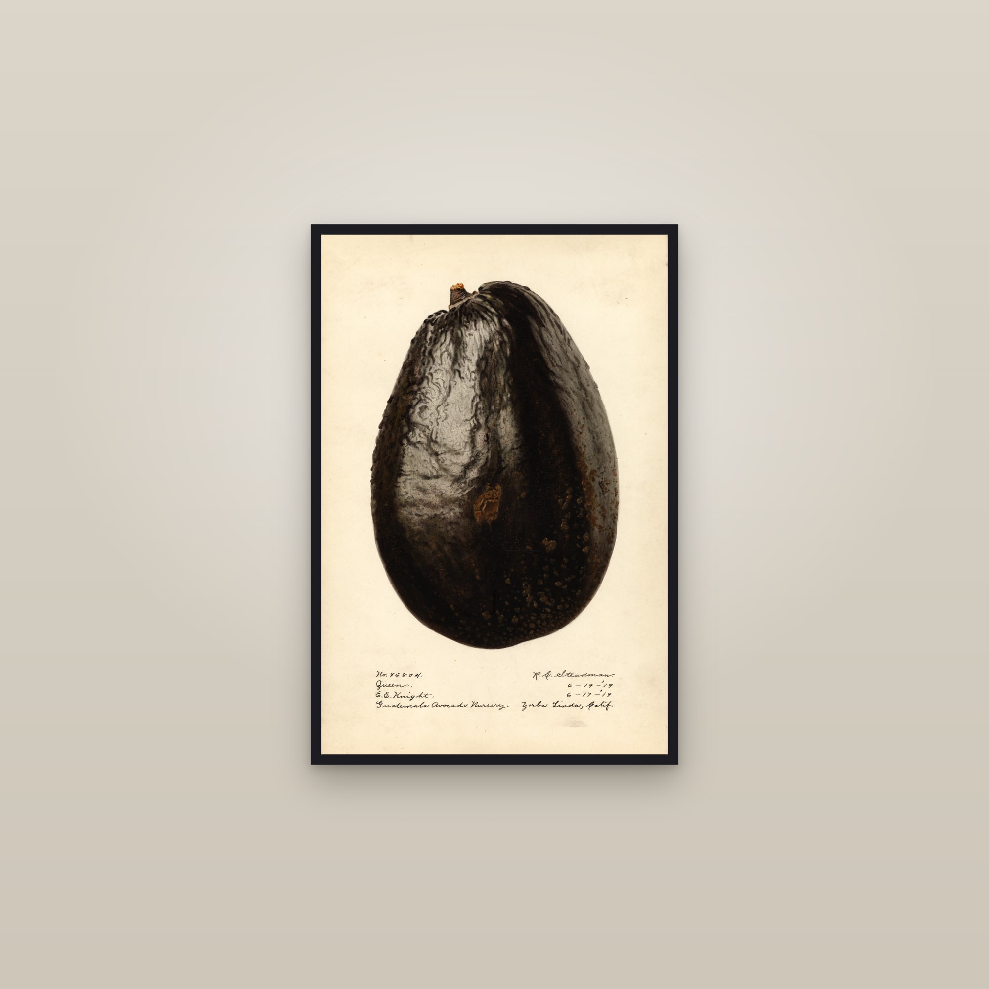 Queen Avocado — framed in a gallery setting