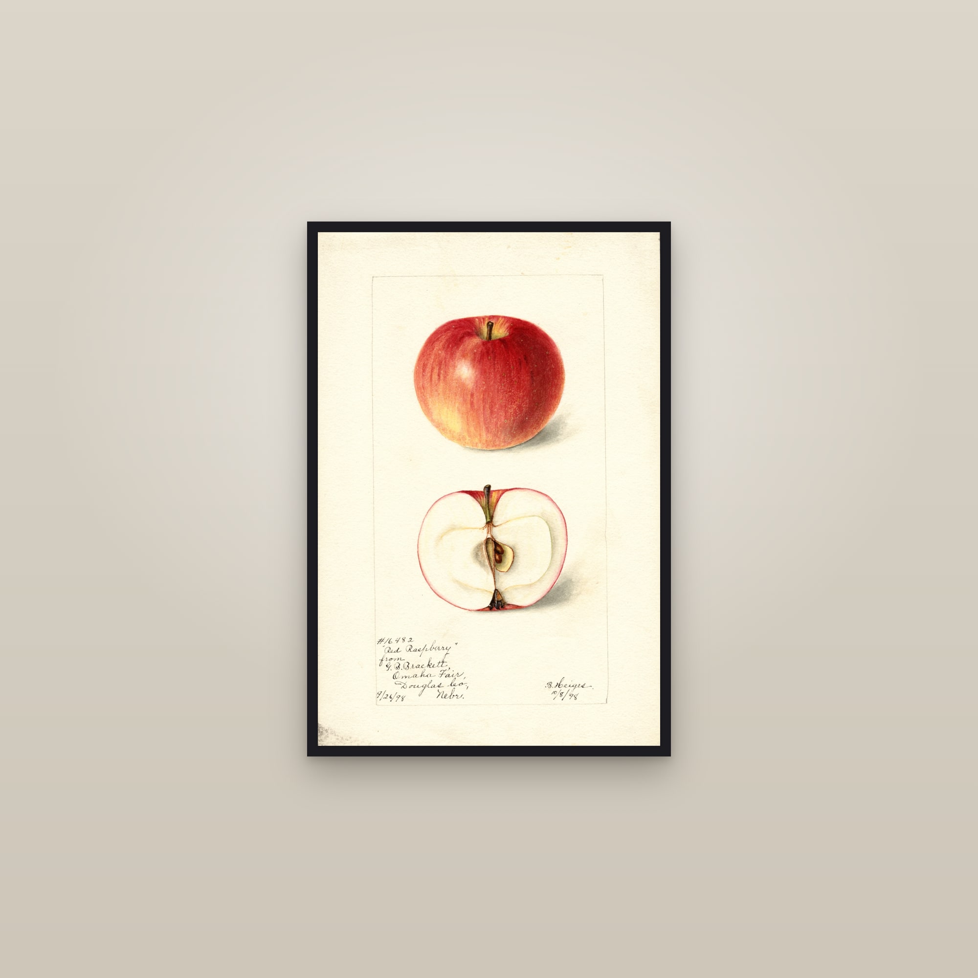Red Raspberry Apple — framed in a gallery setting