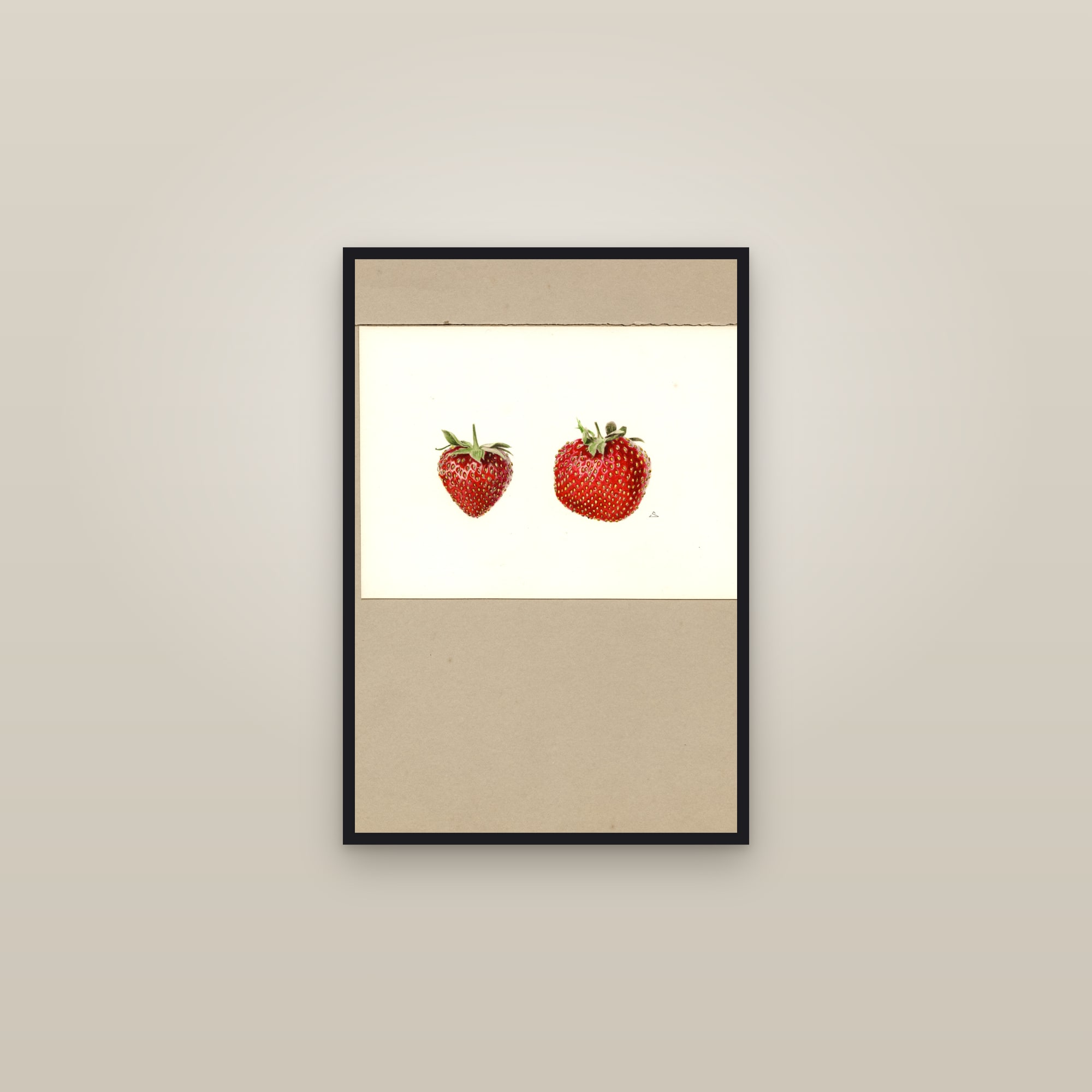 Redstar Strawberry — framed in a gallery setting
