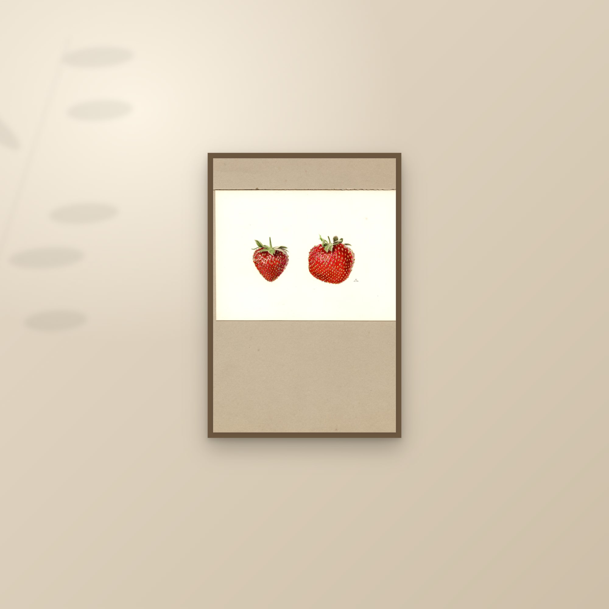 Redstar Strawberry — framed and styled on a sunlit wall