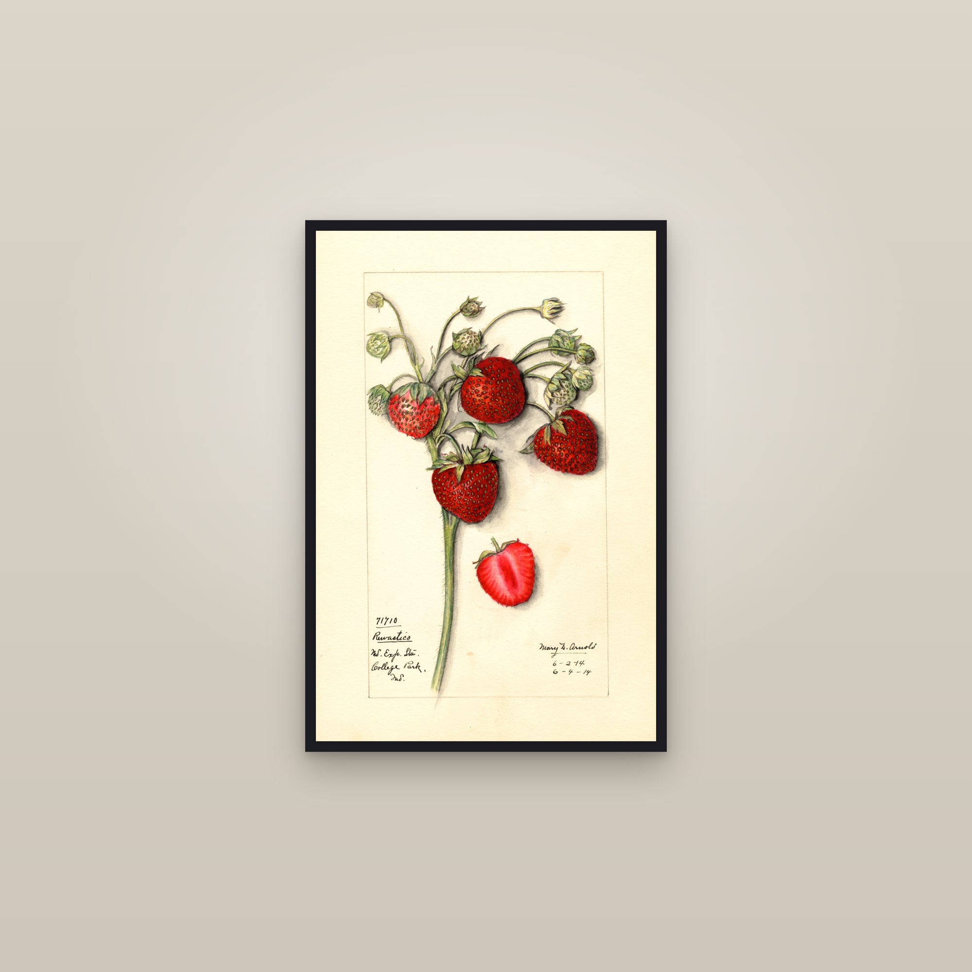 Rewastico Strawberry — framed in a gallery setting