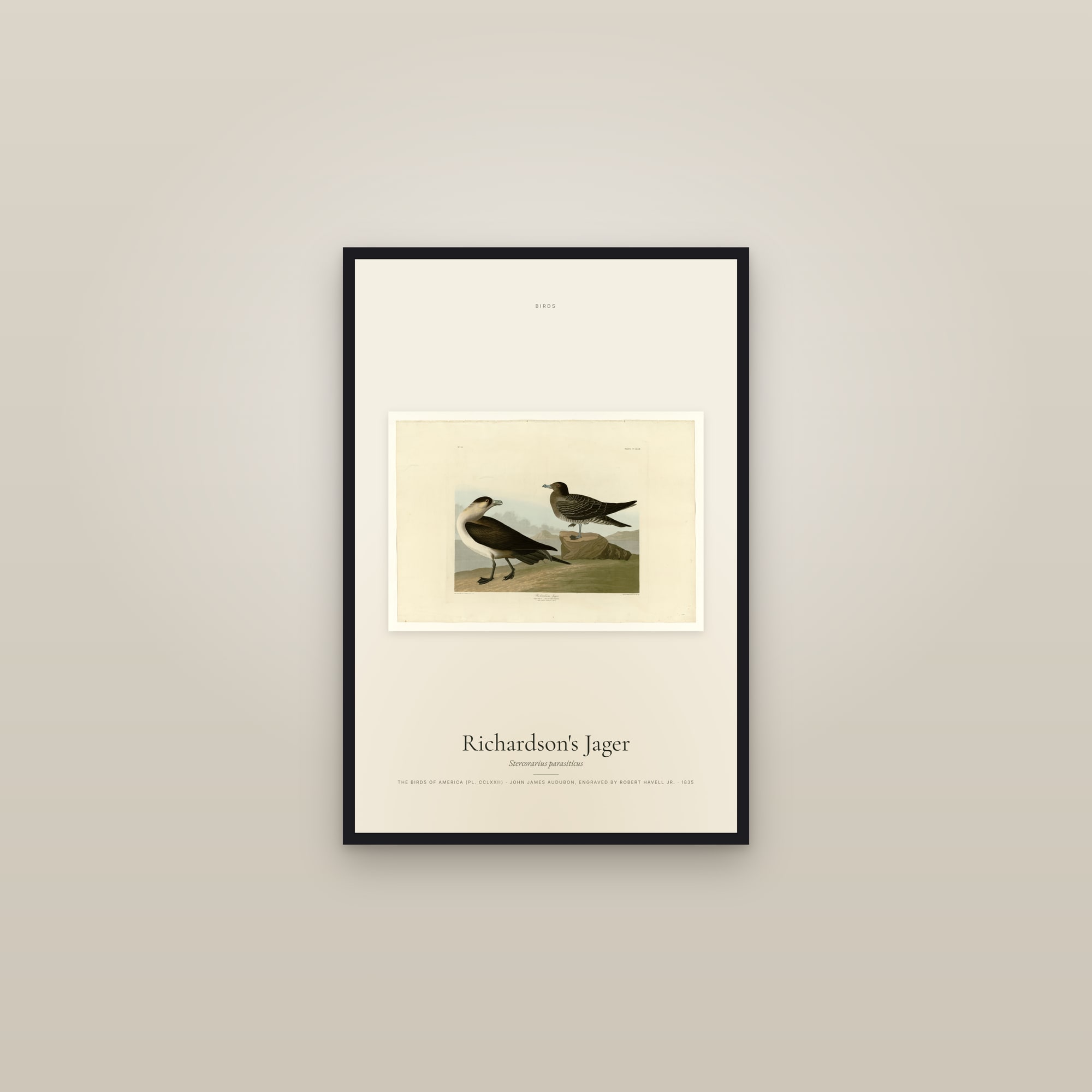 Richardson's Jager — framed in a gallery setting