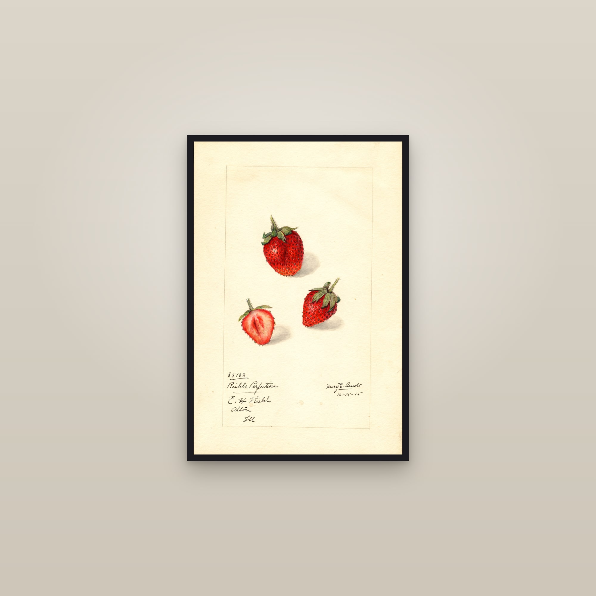 Riehls Perfection Strawberry — framed in a gallery setting