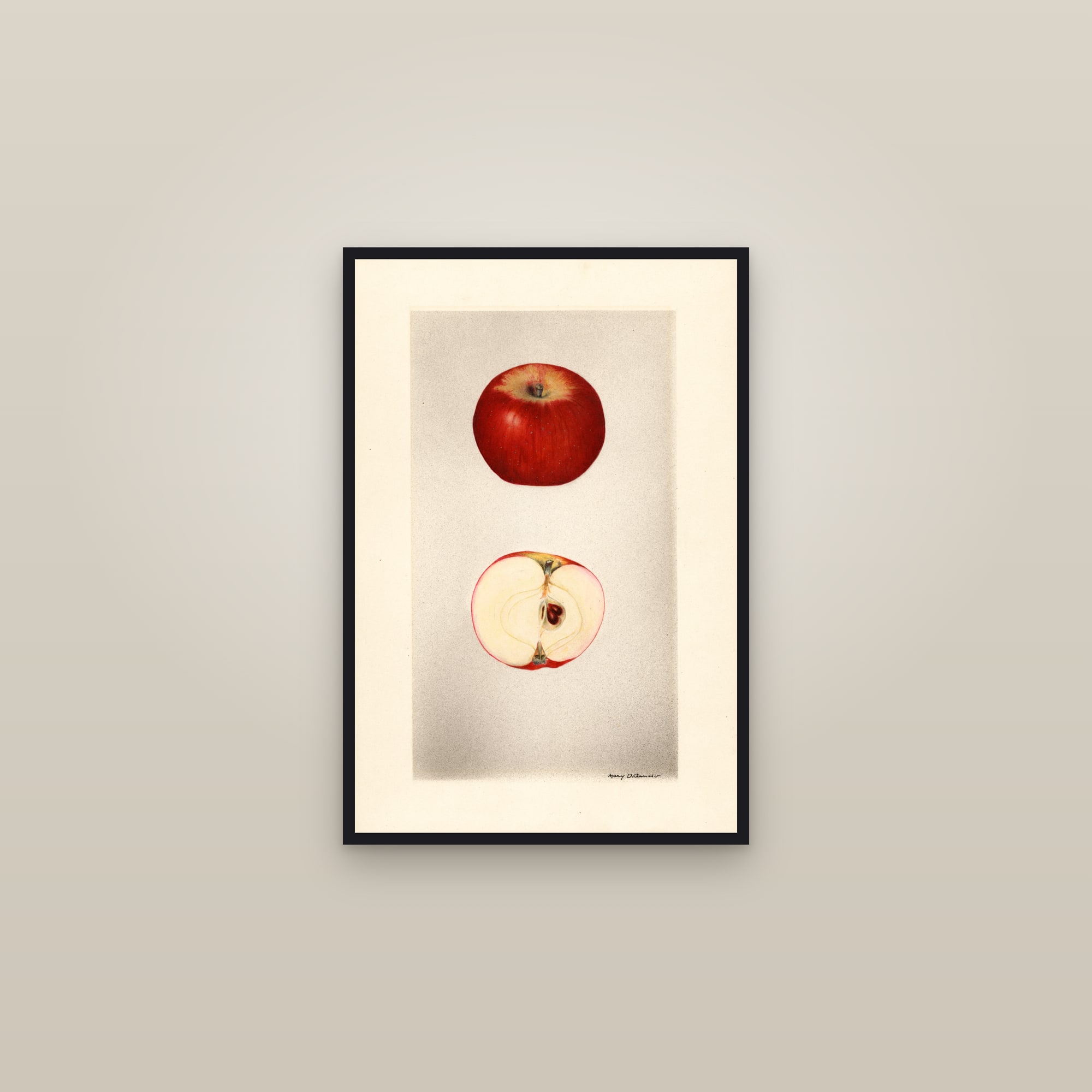 Rouge Der Laudel Apple — framed in a gallery setting