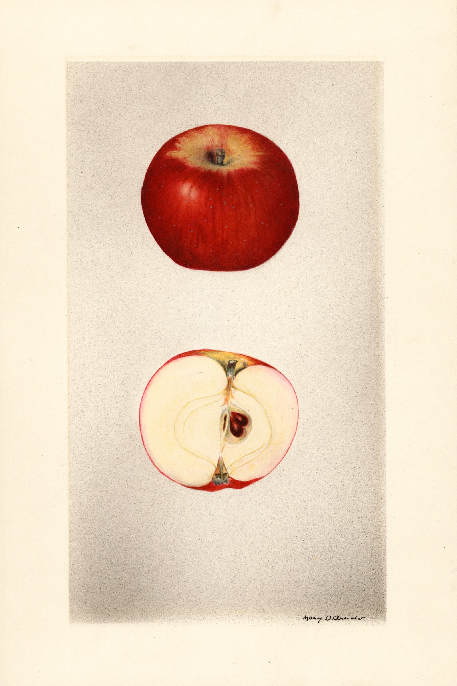 Rouge Der Laudel Apple