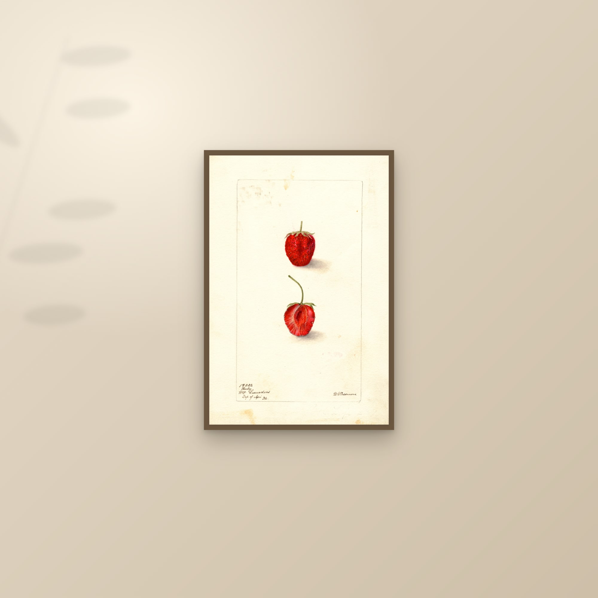 Ruby Strawberry — framed and styled on a sunlit wall