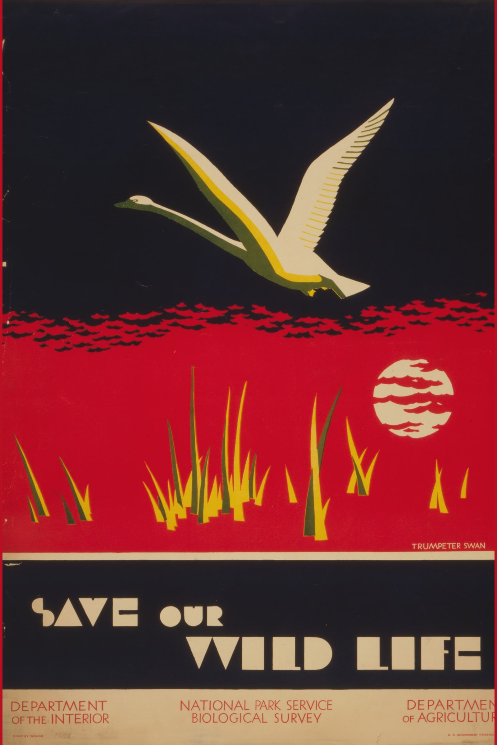 Save Our Wild Life