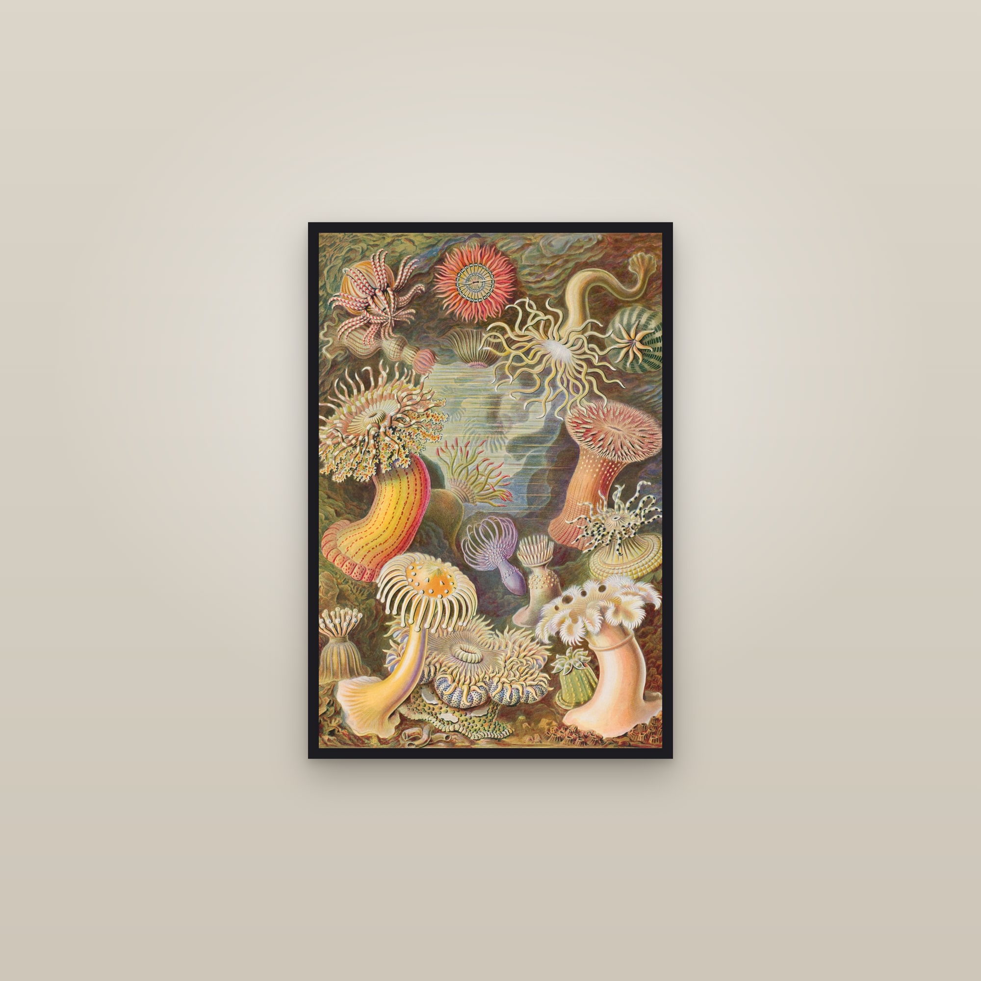 Sea Anemones — framed in a gallery setting