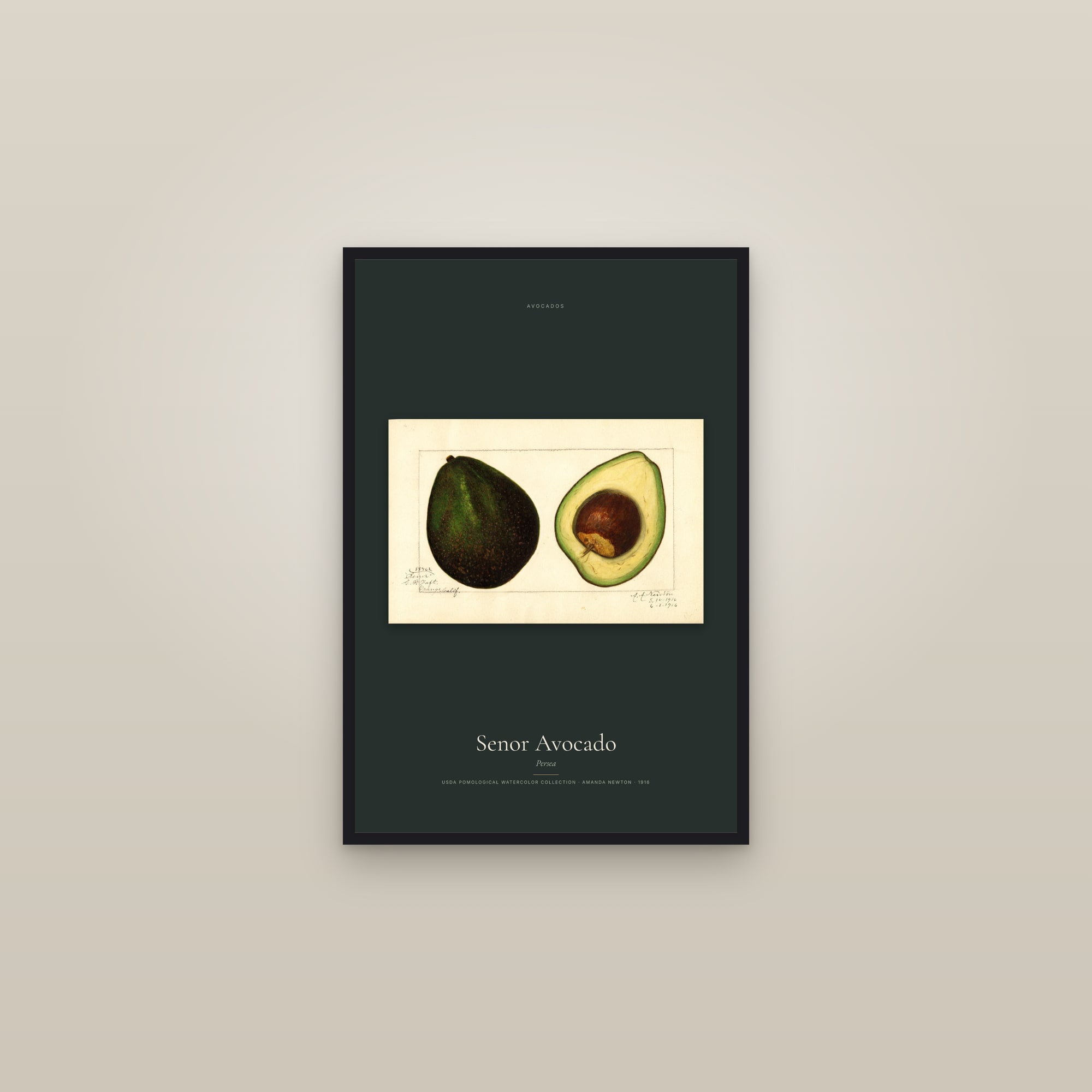 Senor Avocado — framed in a gallery setting