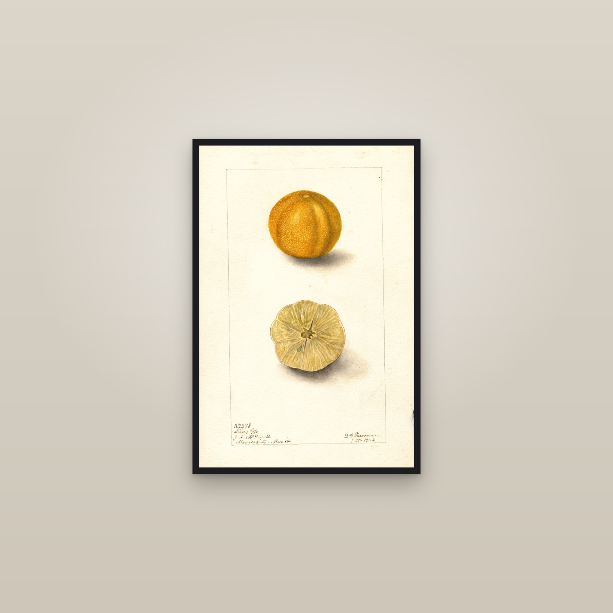 Silas Gto Citrus — framed in a gallery setting