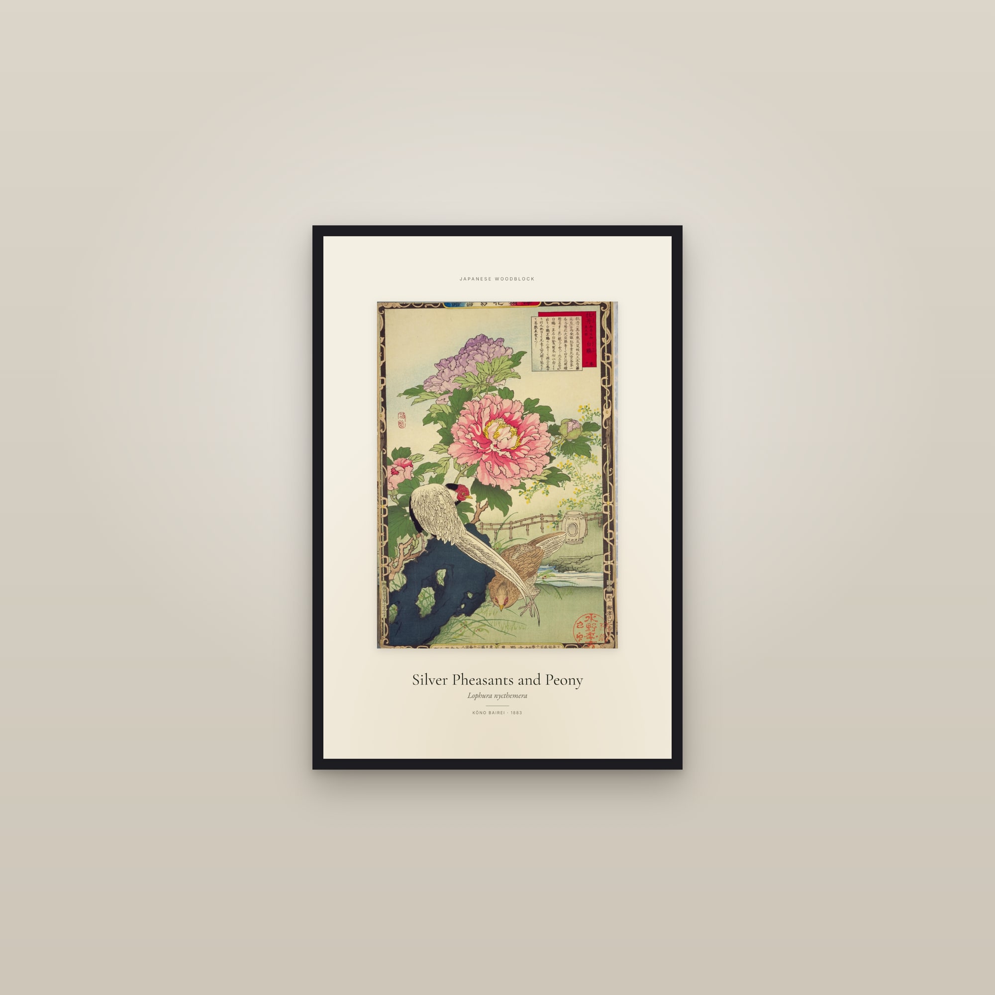 Silver Pheasants and Peony — Specimen