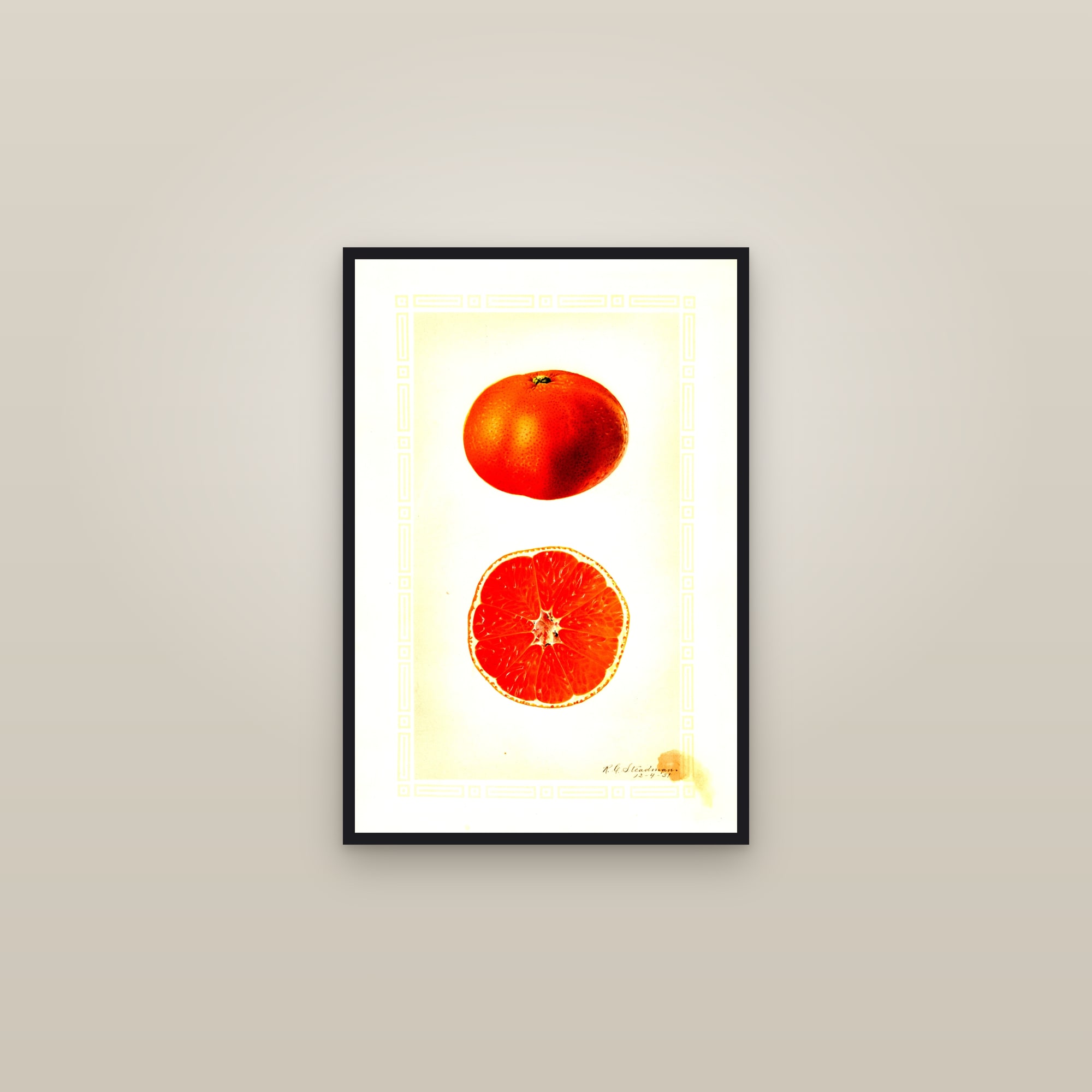 Silverhill Satsuma Orange — framed in a gallery setting