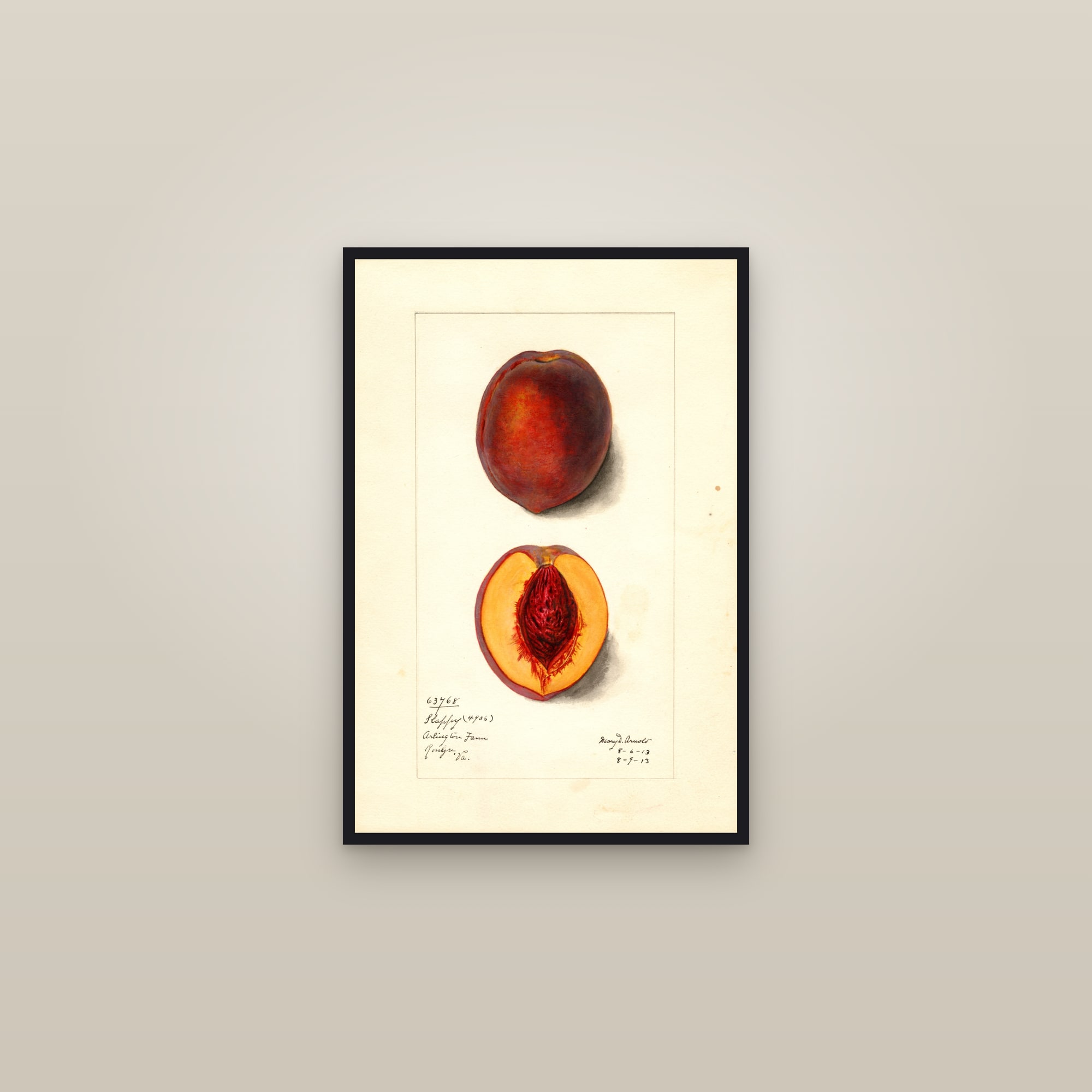Slappy Peach — framed in a gallery setting