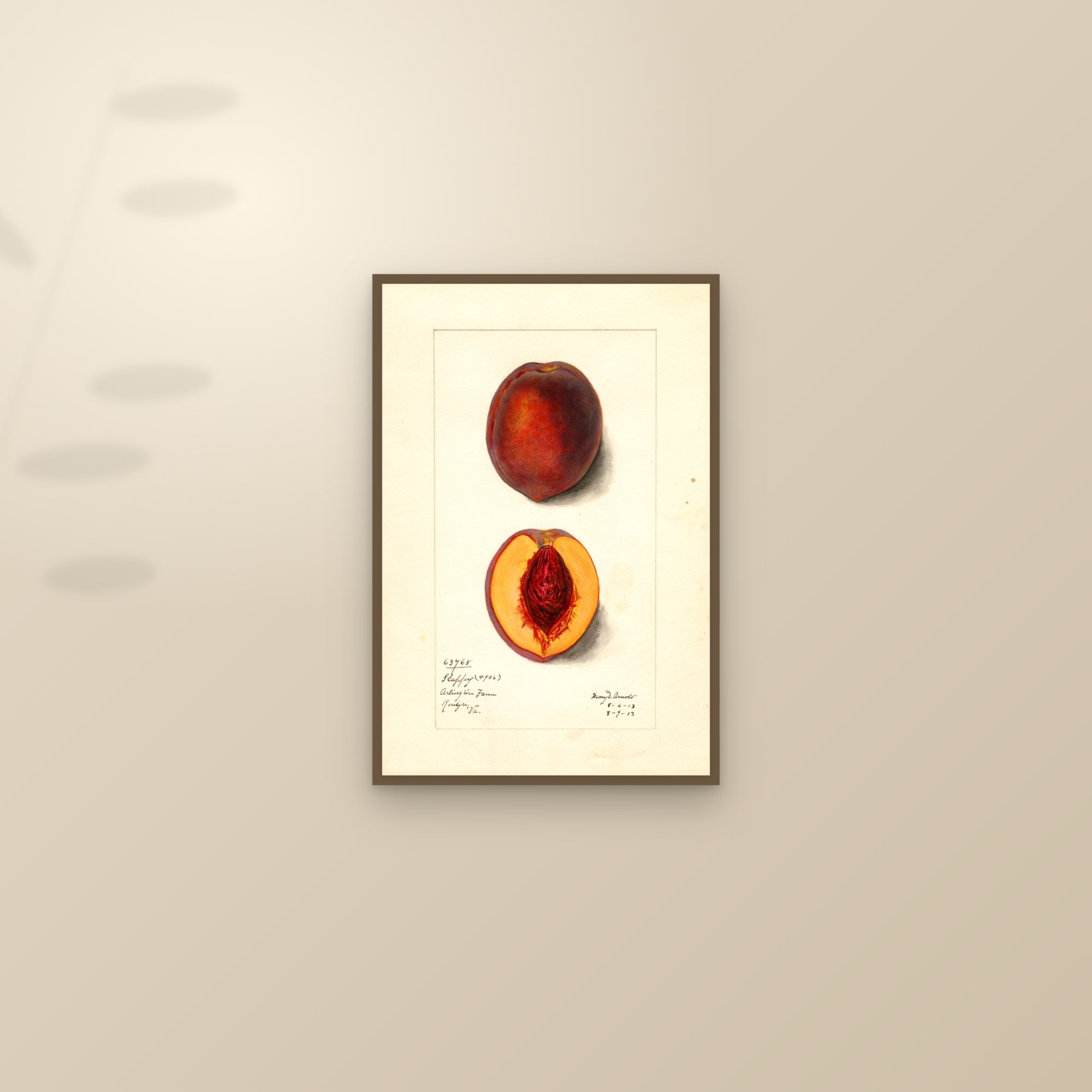 Slappy Peach — framed and styled on a sunlit wall