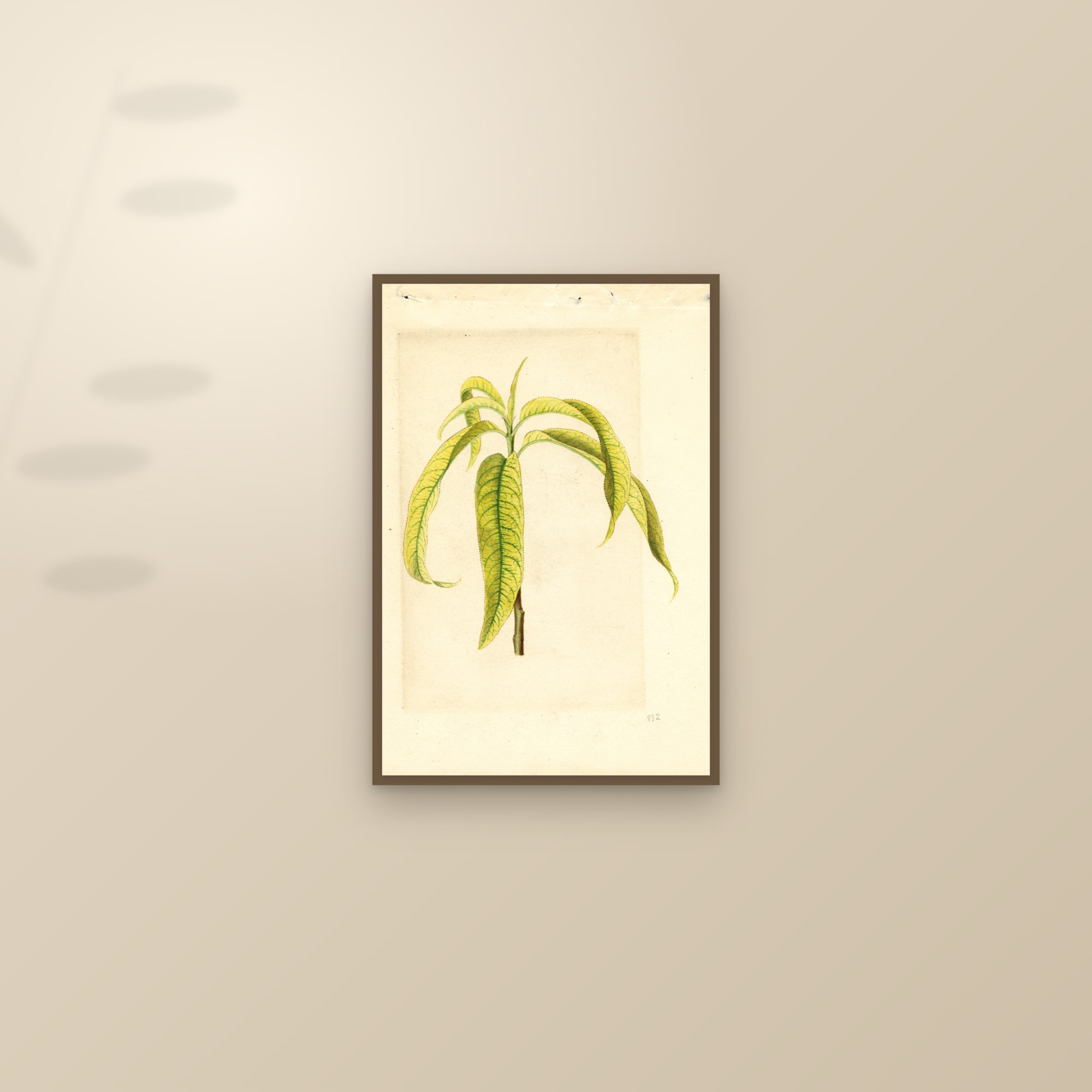Smock Peach — framed and styled on a sunlit wall
