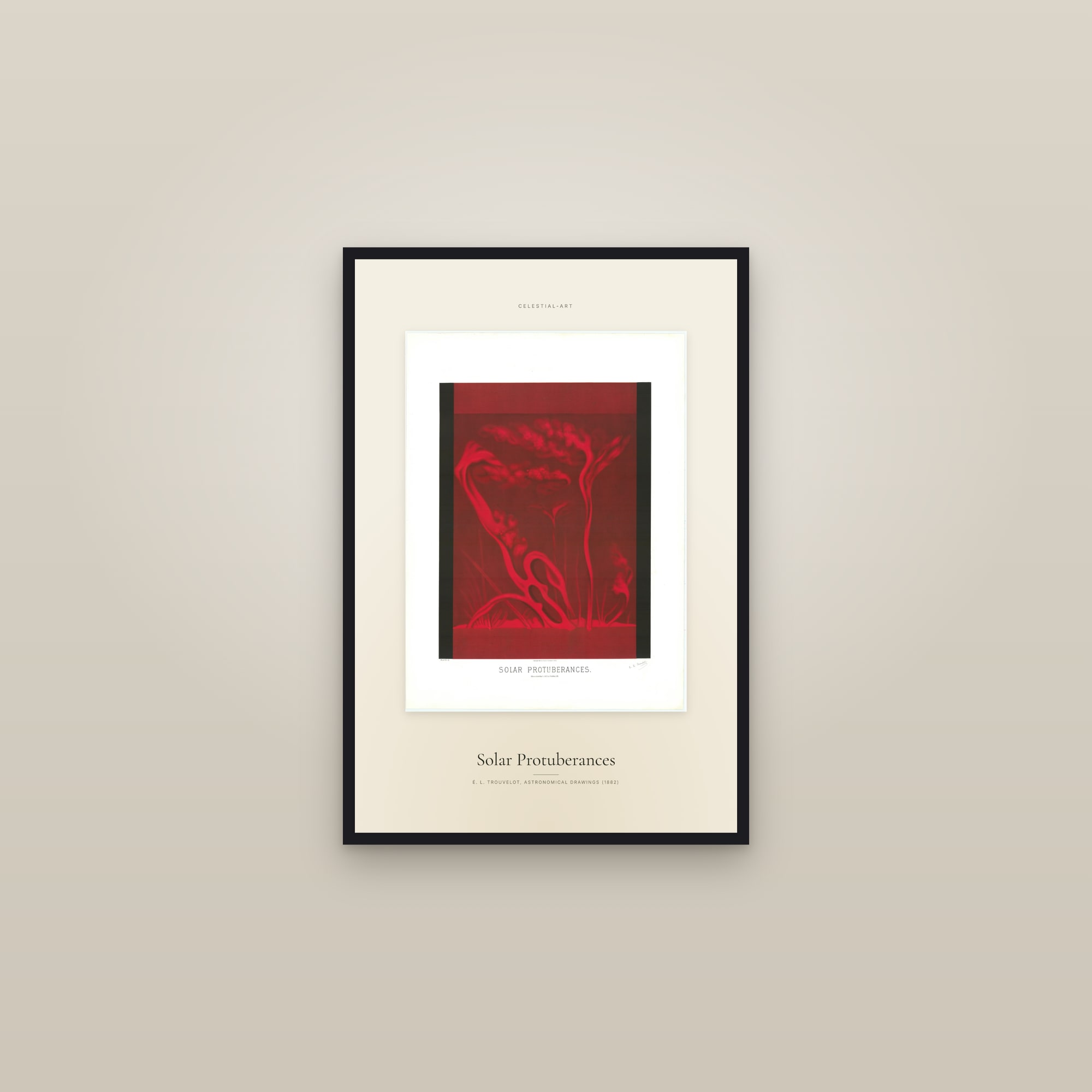 Solar Protuberances — Specimen — framed in a gallery setting