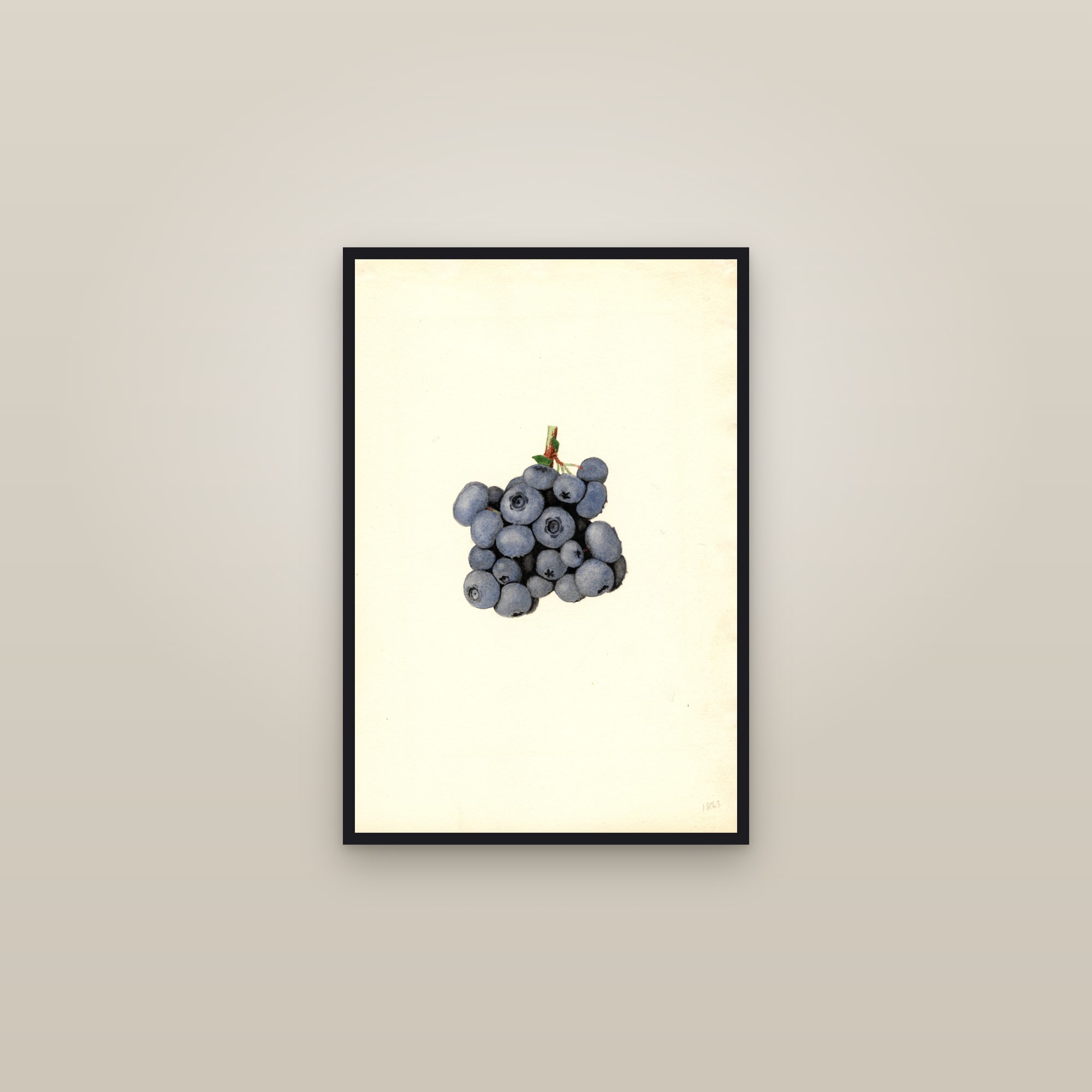Stanley Blueberry — framed in a gallery setting