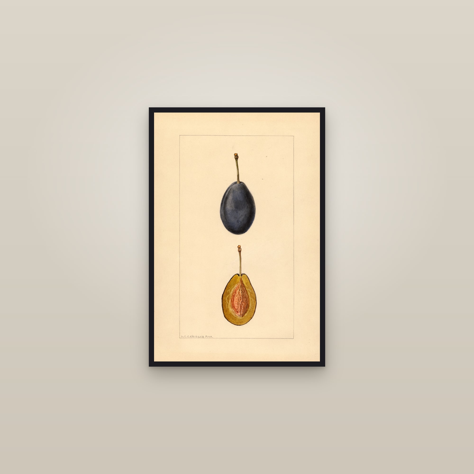 Stanley Plum — framed in a gallery setting