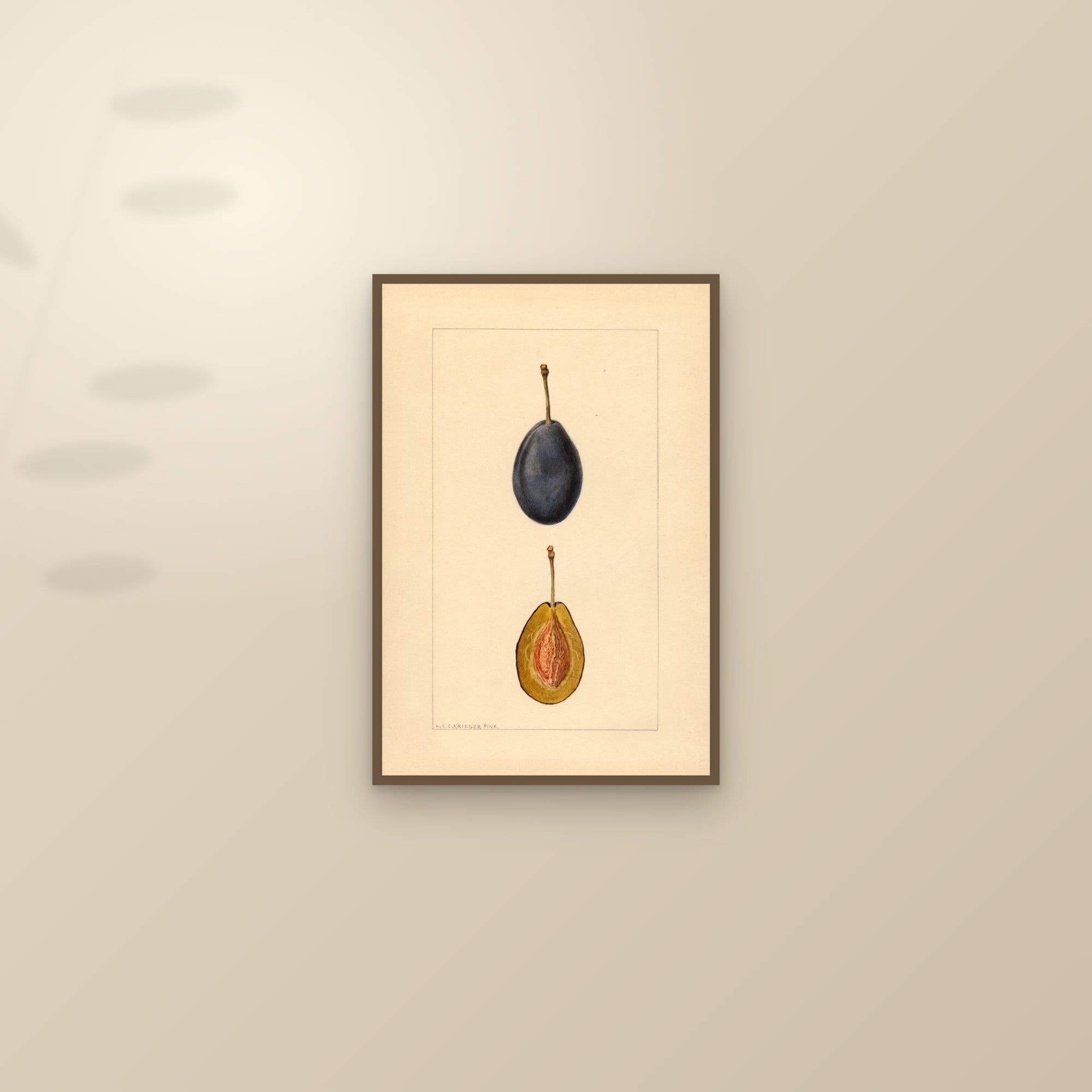 Stanley Plum — framed and styled on a sunlit wall