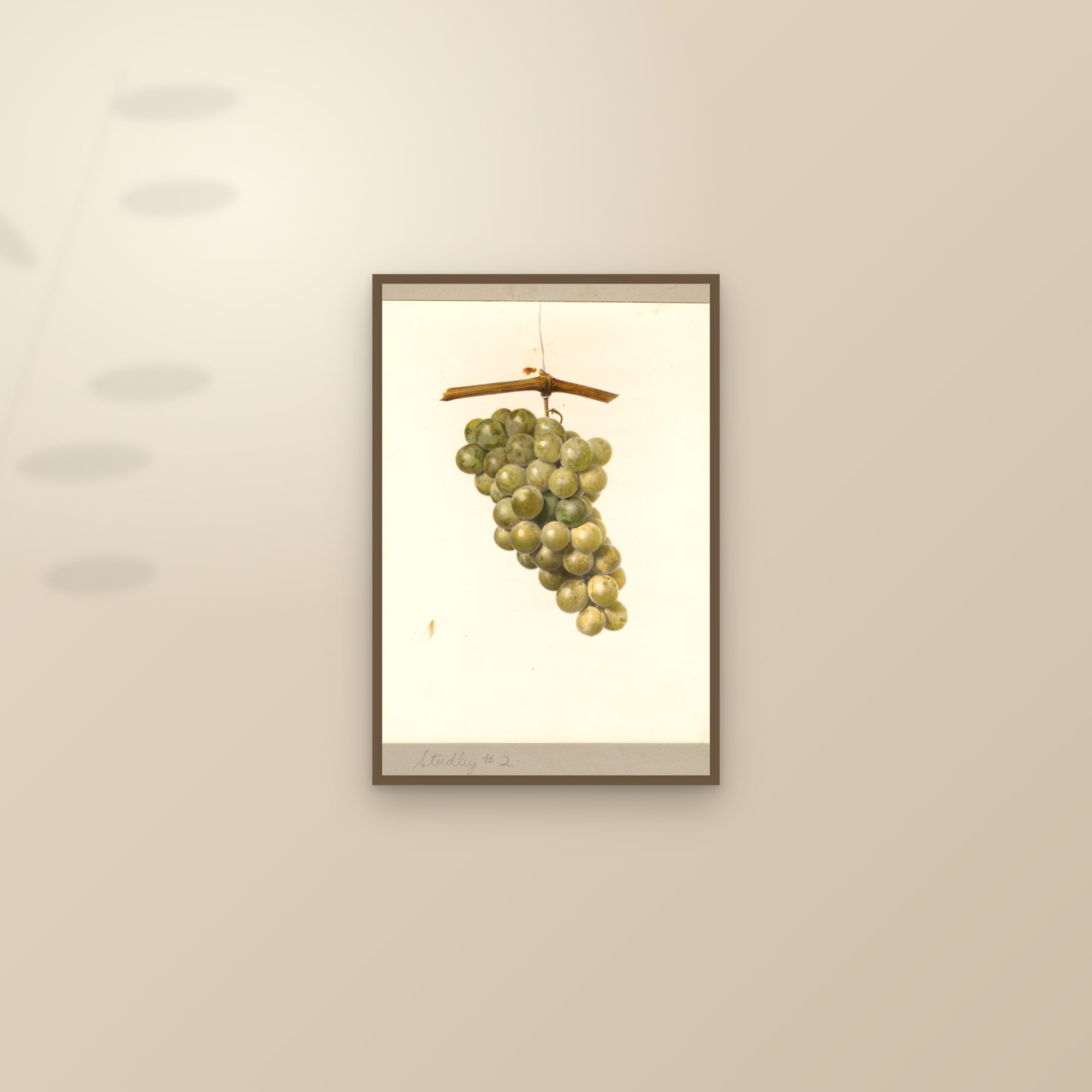 Studley No. 2 Grape — framed and styled on a sunlit wall