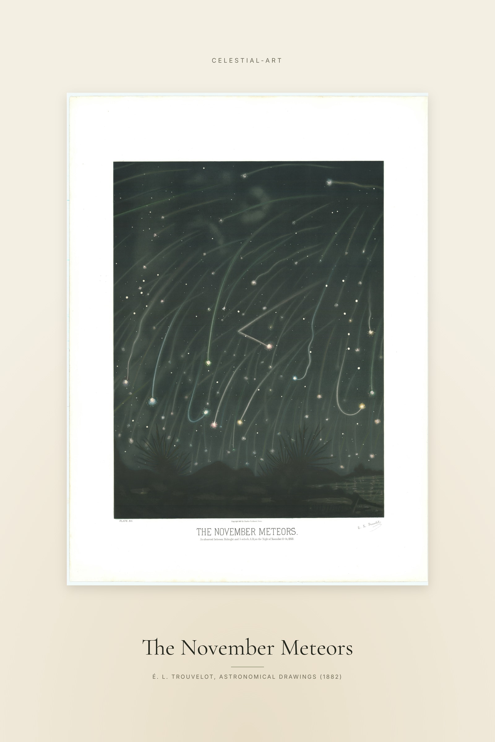 The November Meteors — Specimen