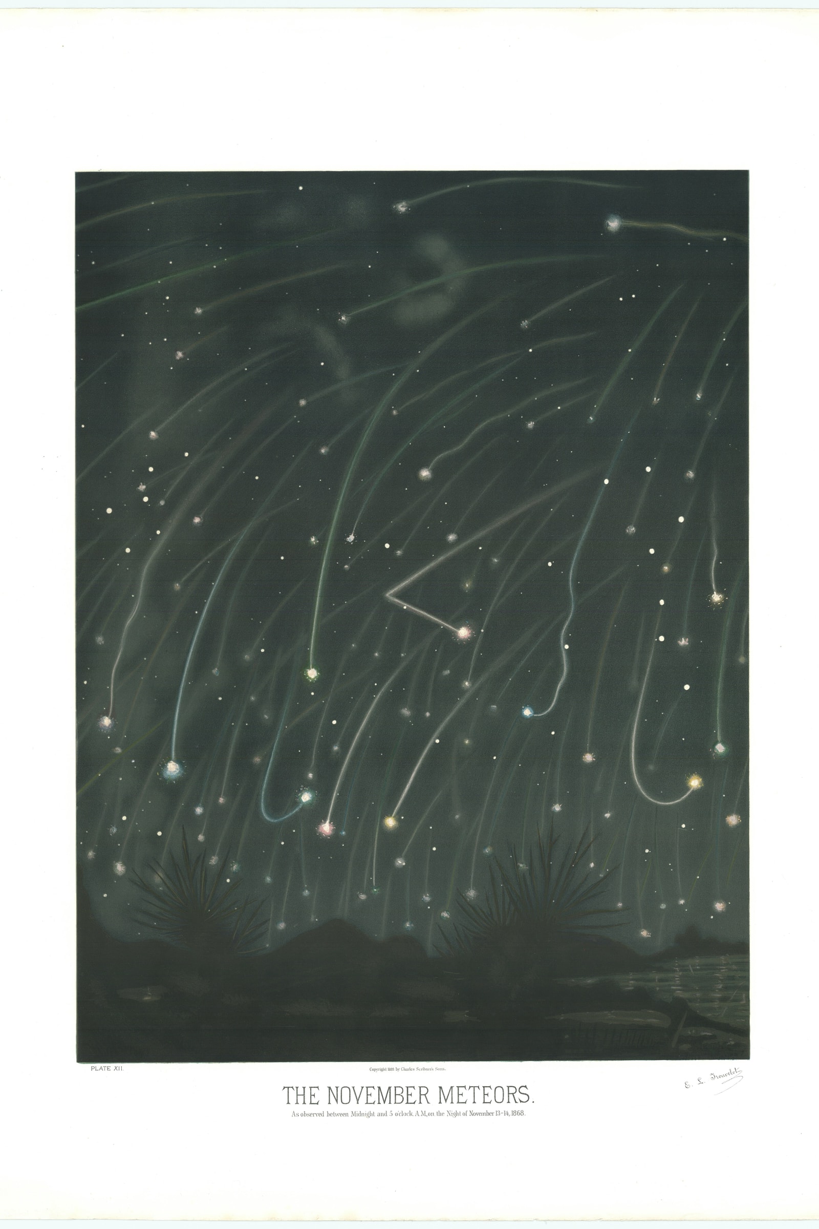 The November Meteors