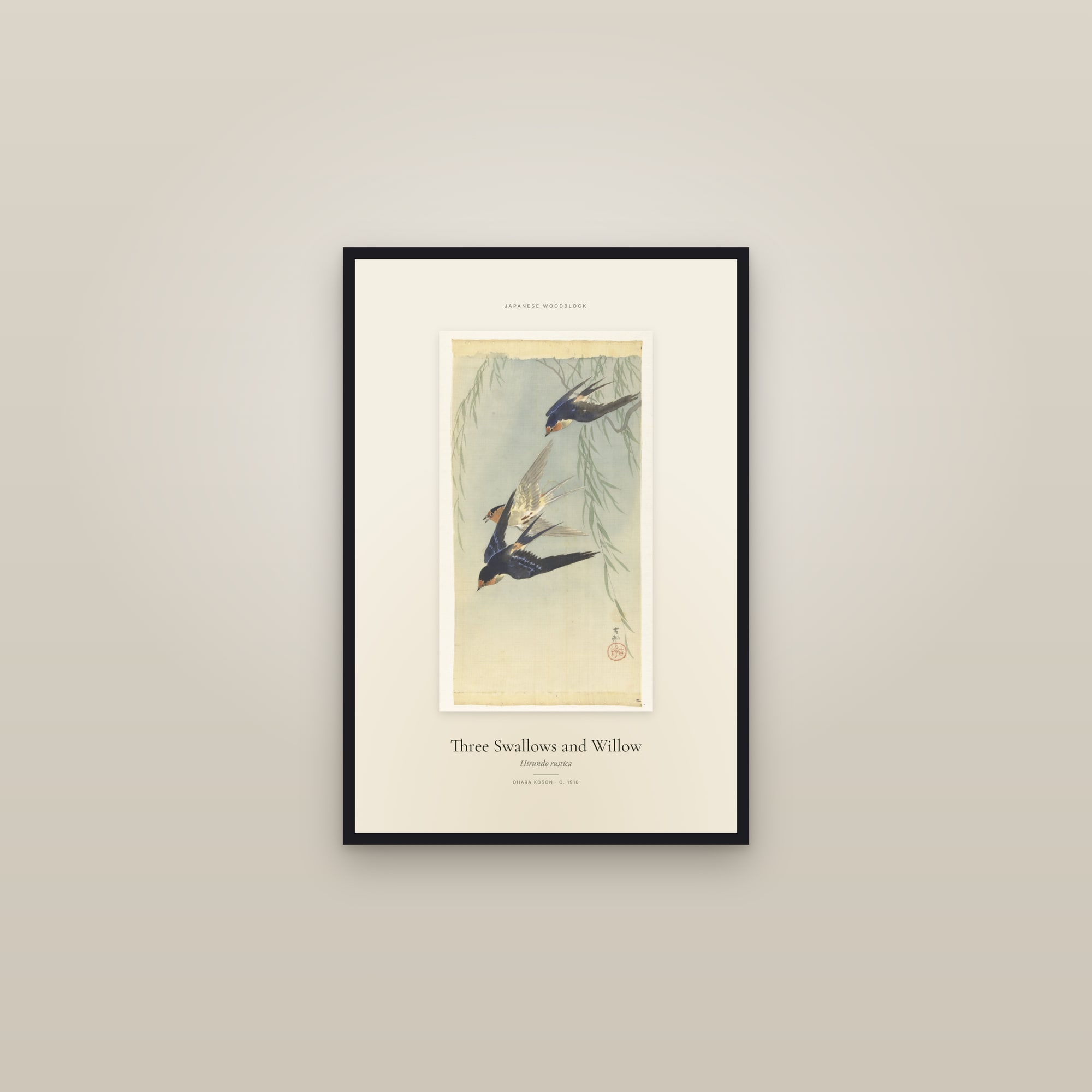 Three Swallows and Willow — Specimen