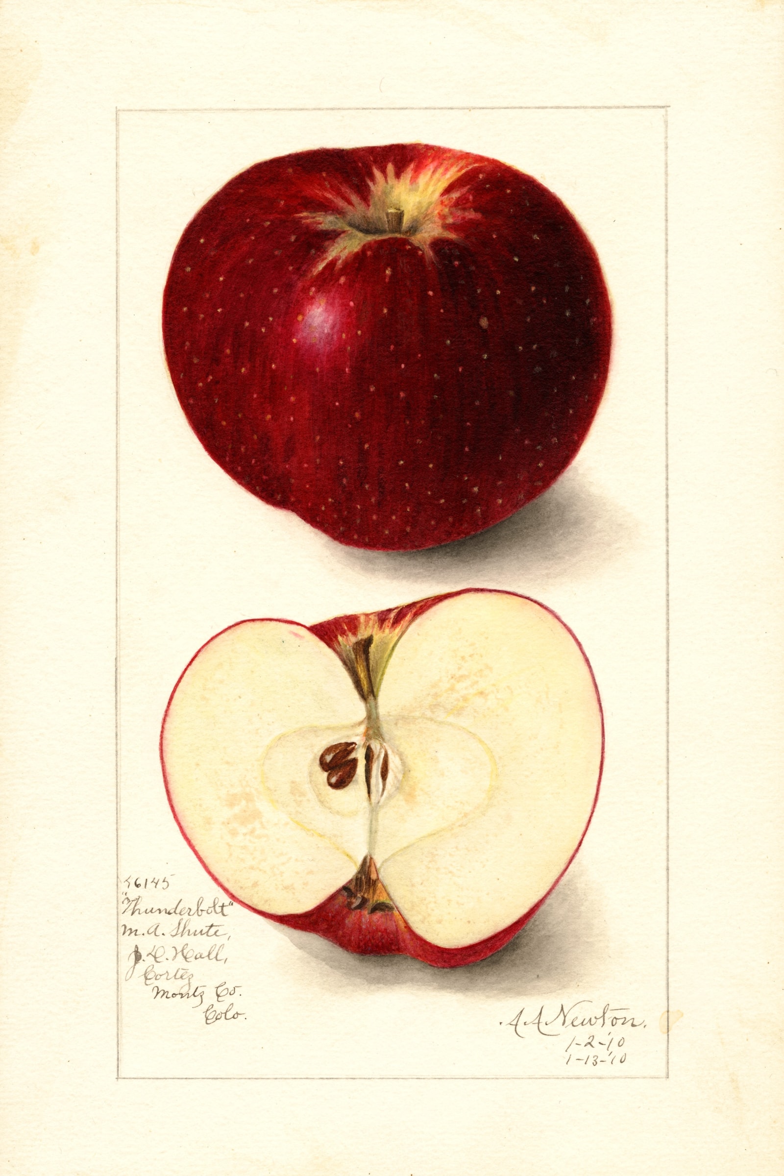 Thunderbolt Apple