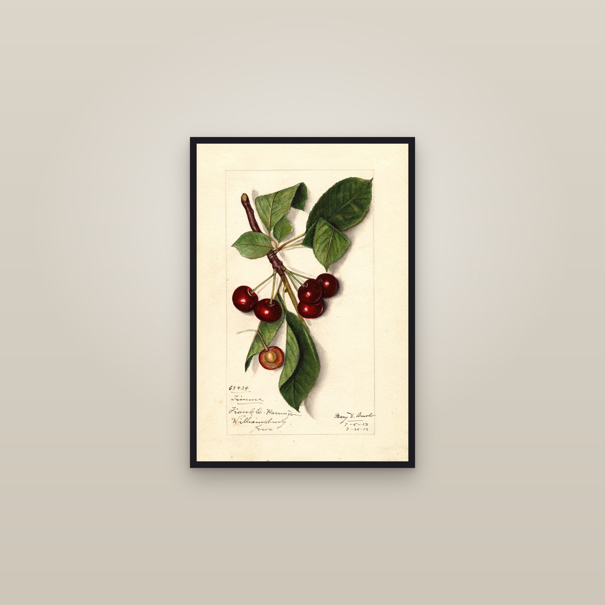 Timme Cherry — framed in a gallery setting